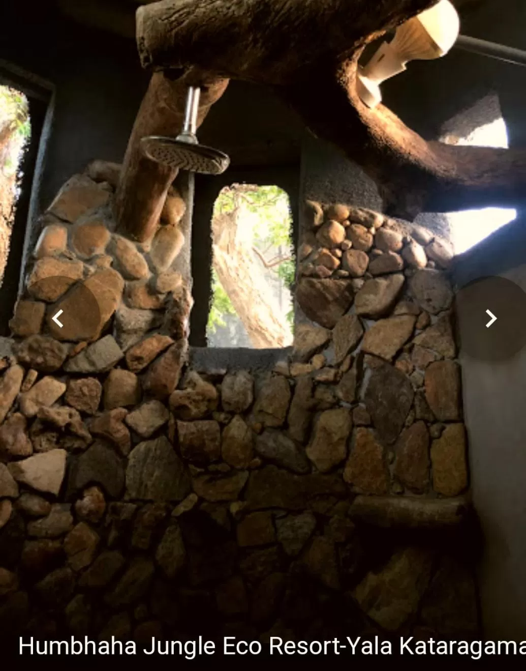 Jungle river humbhaha hostel