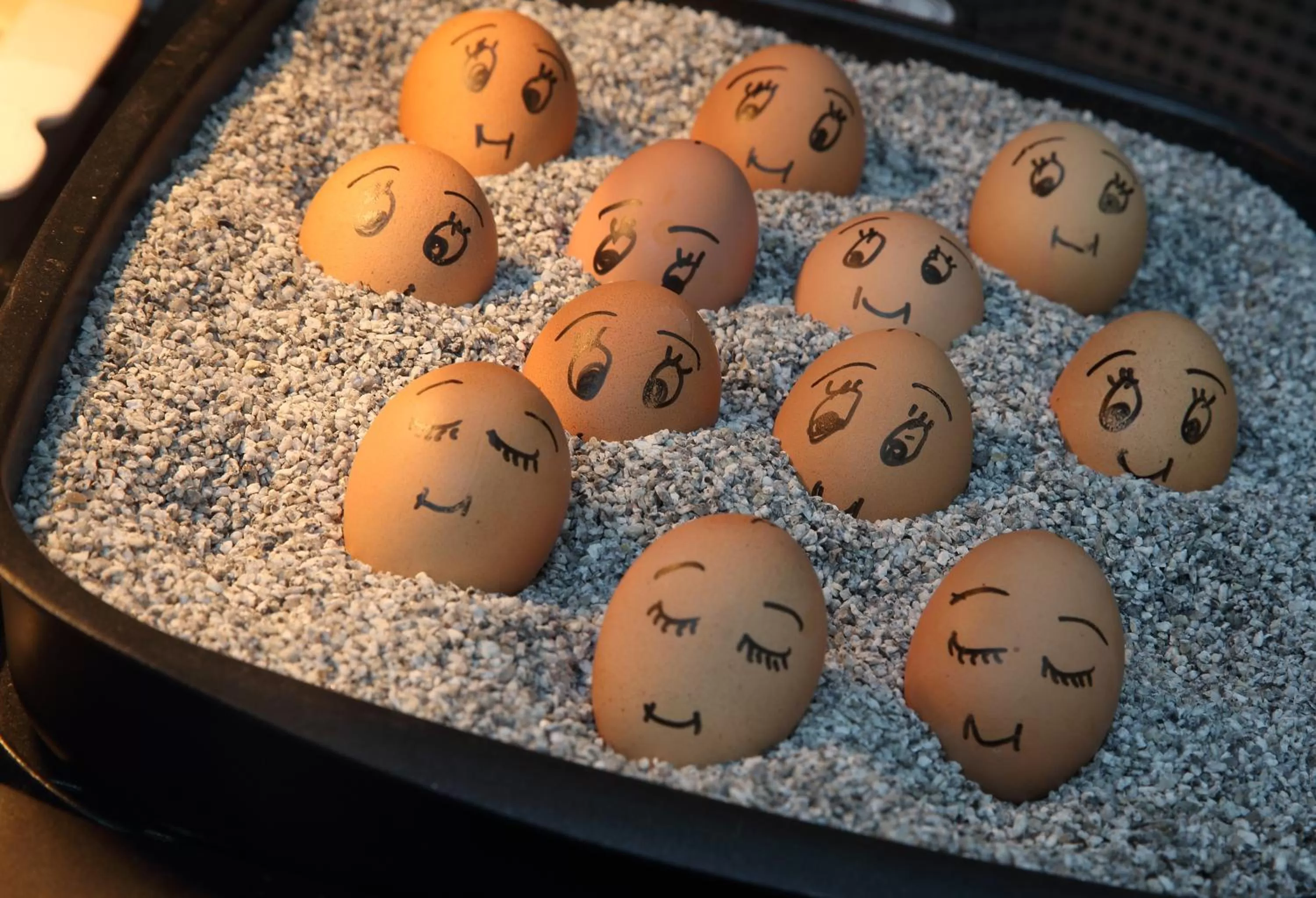 Other in Hotel Forsthaus Grüna Betreibergesellschaft mbH