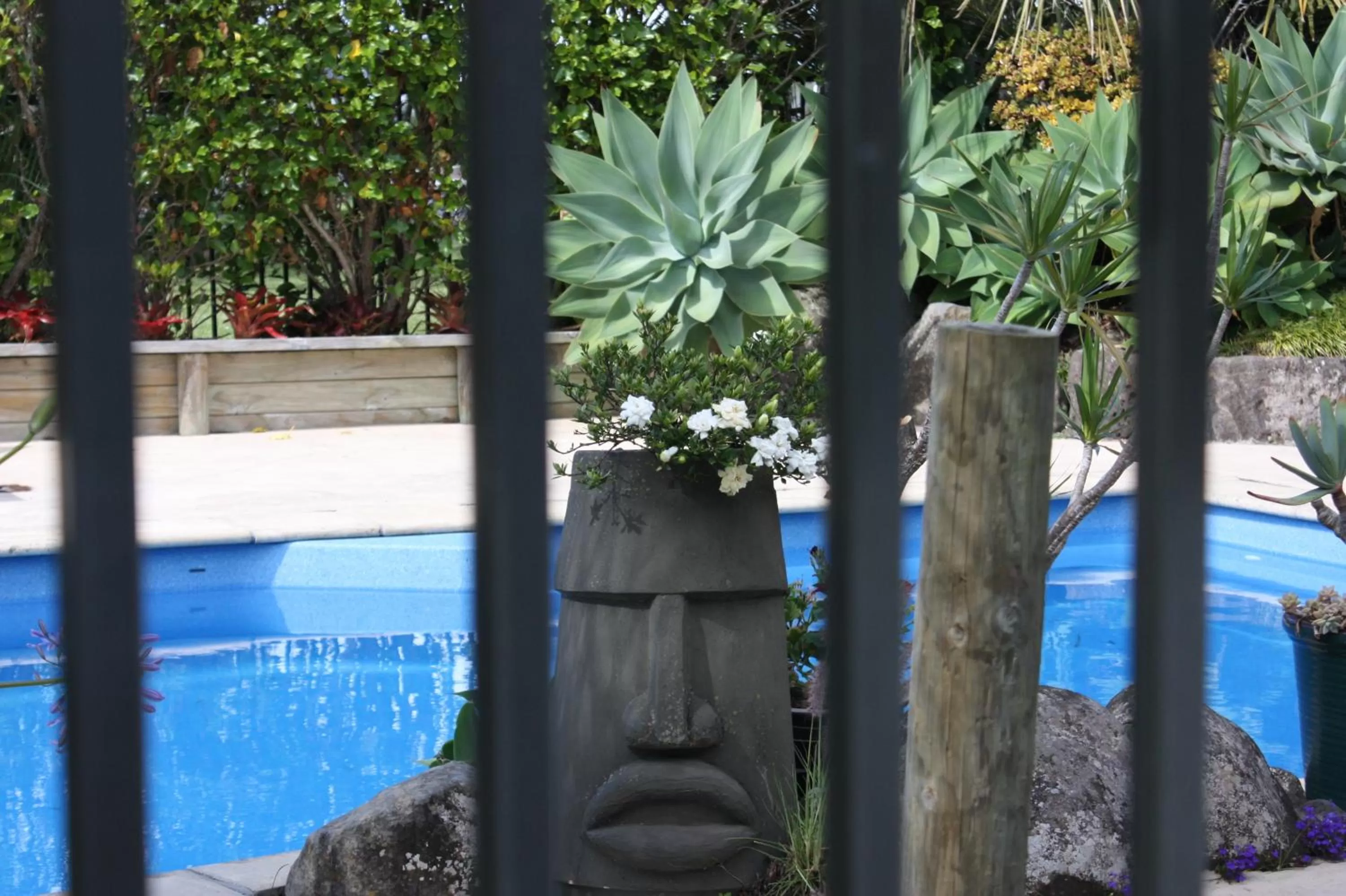 Swimming pool in Snells Beach Motel