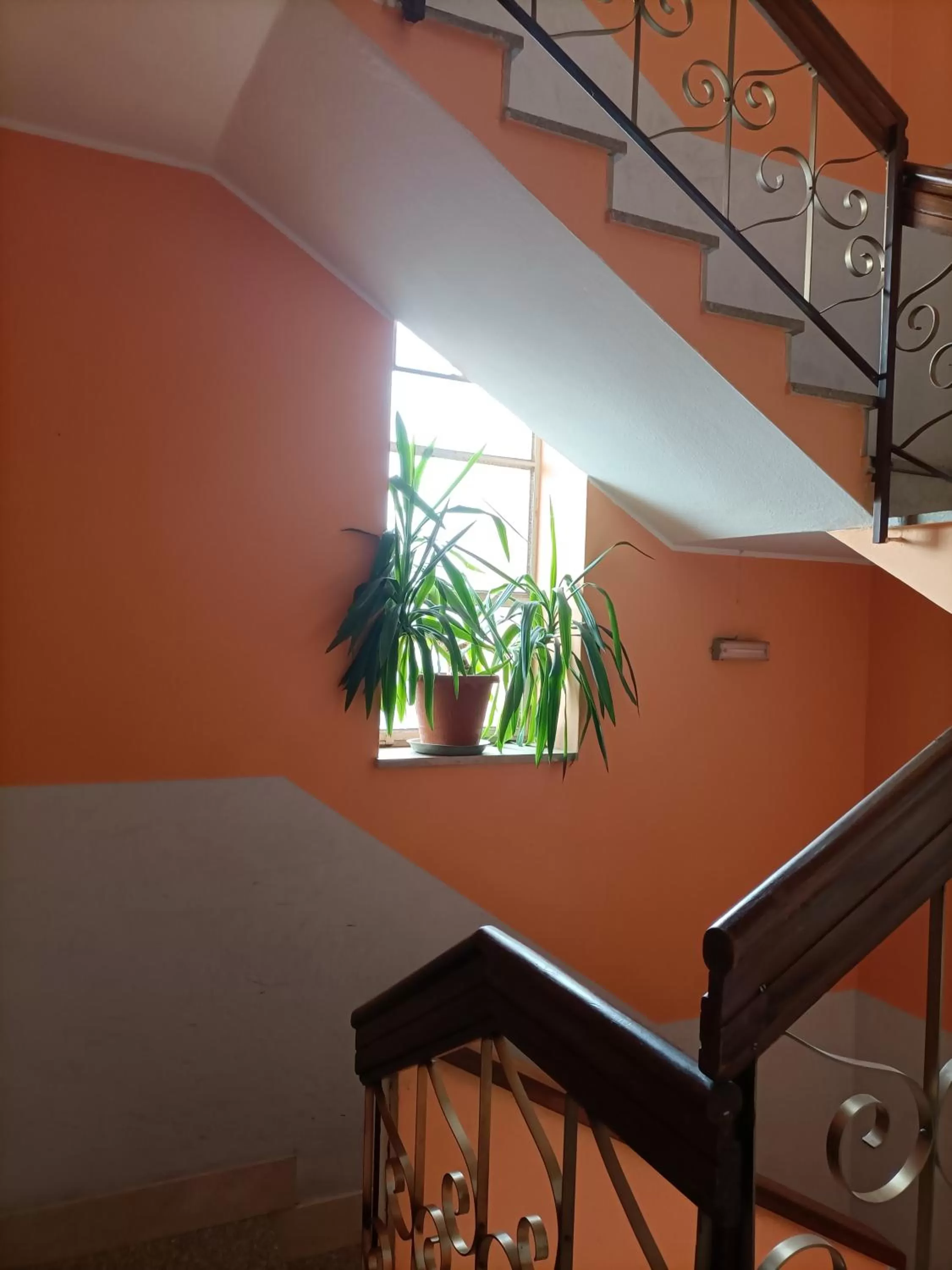 Property building in Albergo Roma