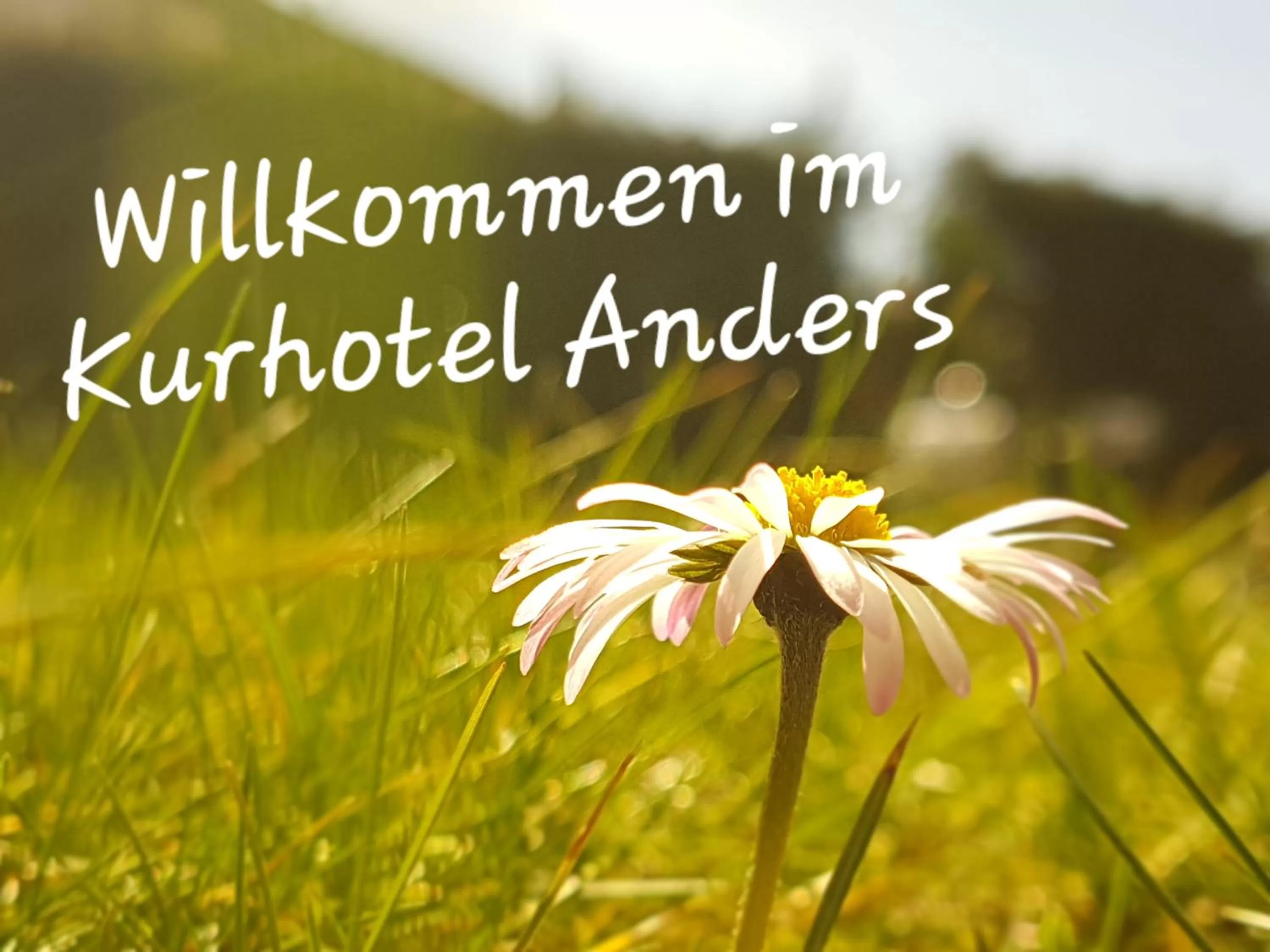 Natural landscape in Kurhotel Anders