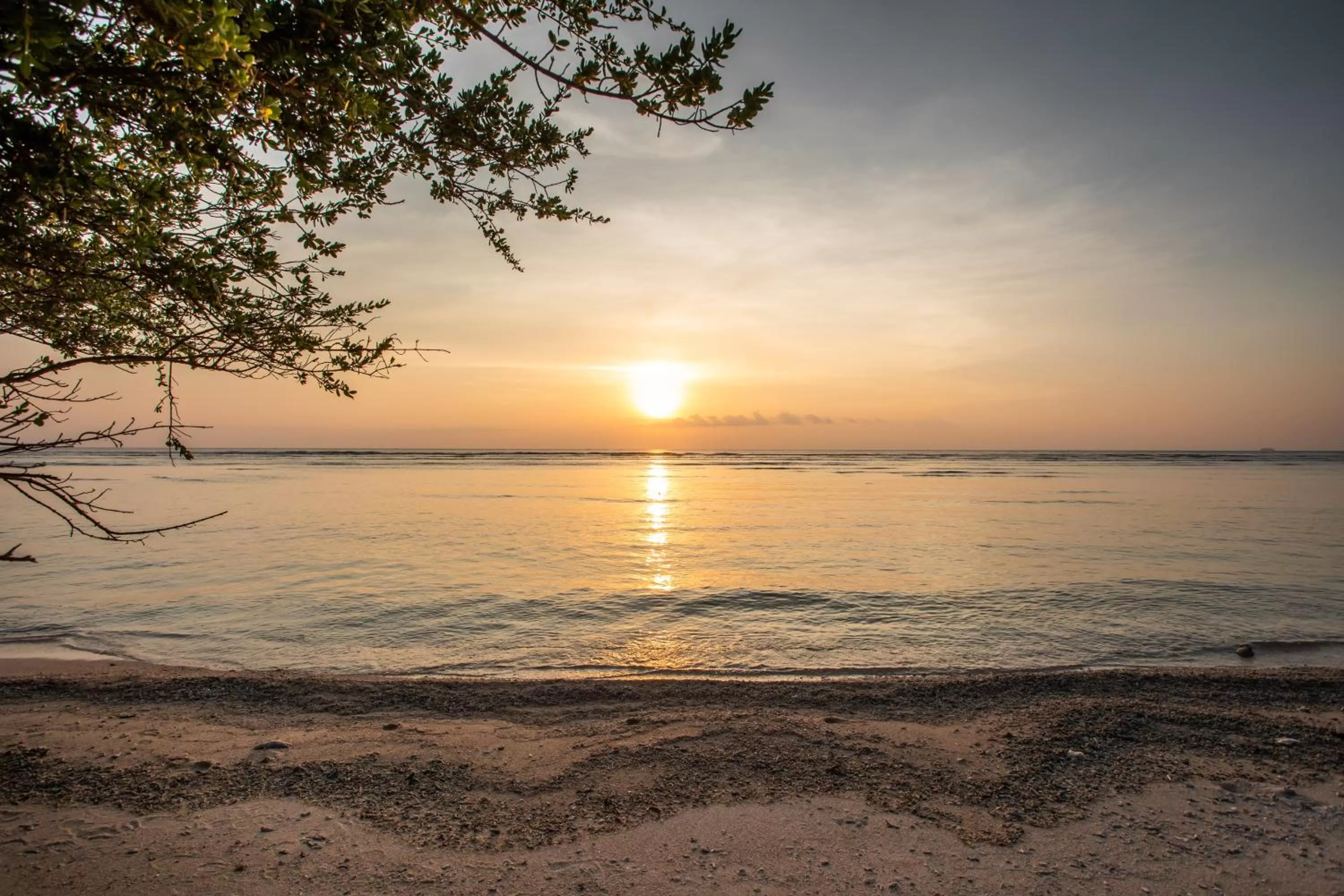 Other in Santorini Beach Resort