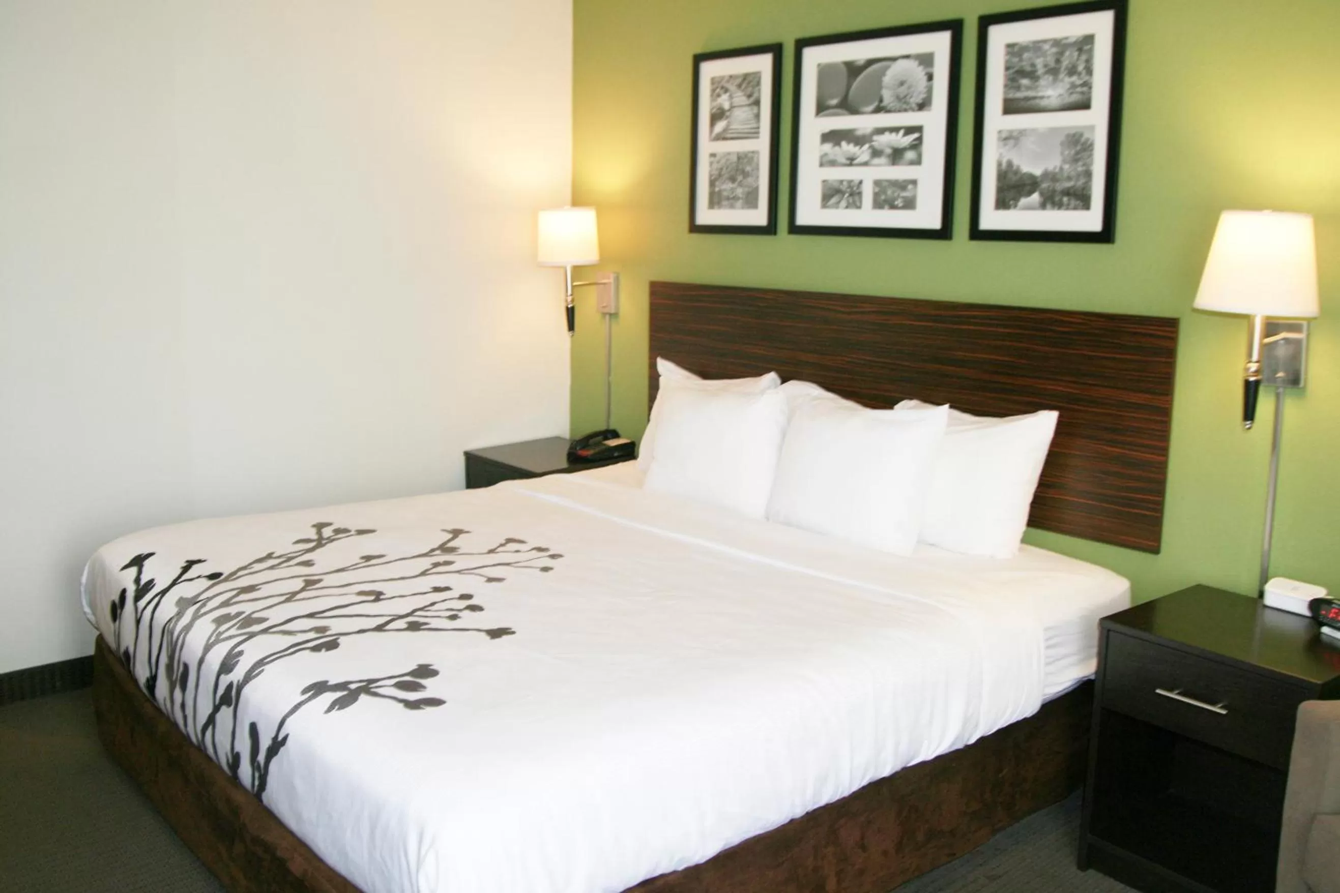 King Suite - Accessible/Non-Smoking in Sleep Inn & Suites Stony Creek - Petersburg South