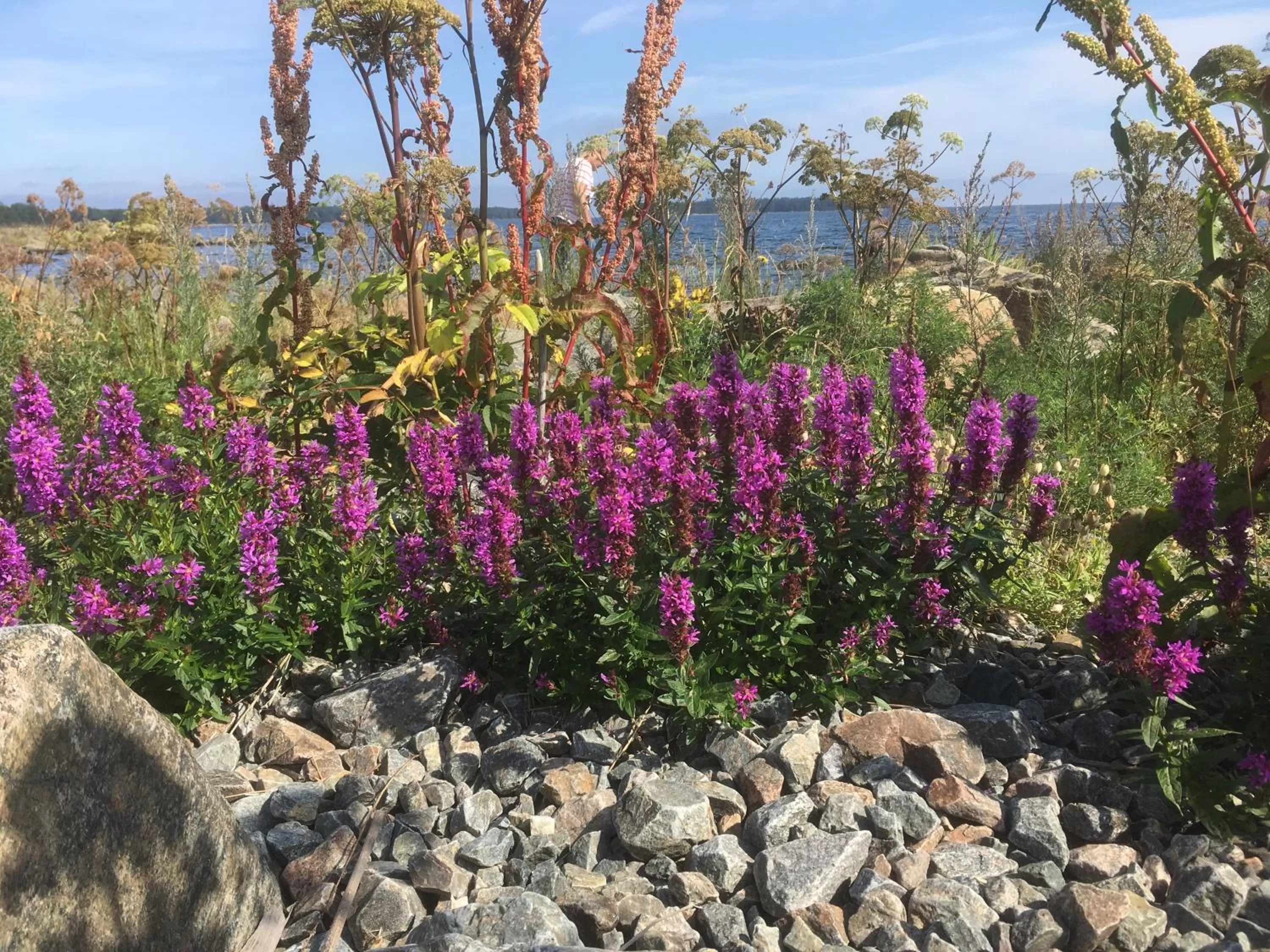 Hiking in Hedenstugan B&B Hotel