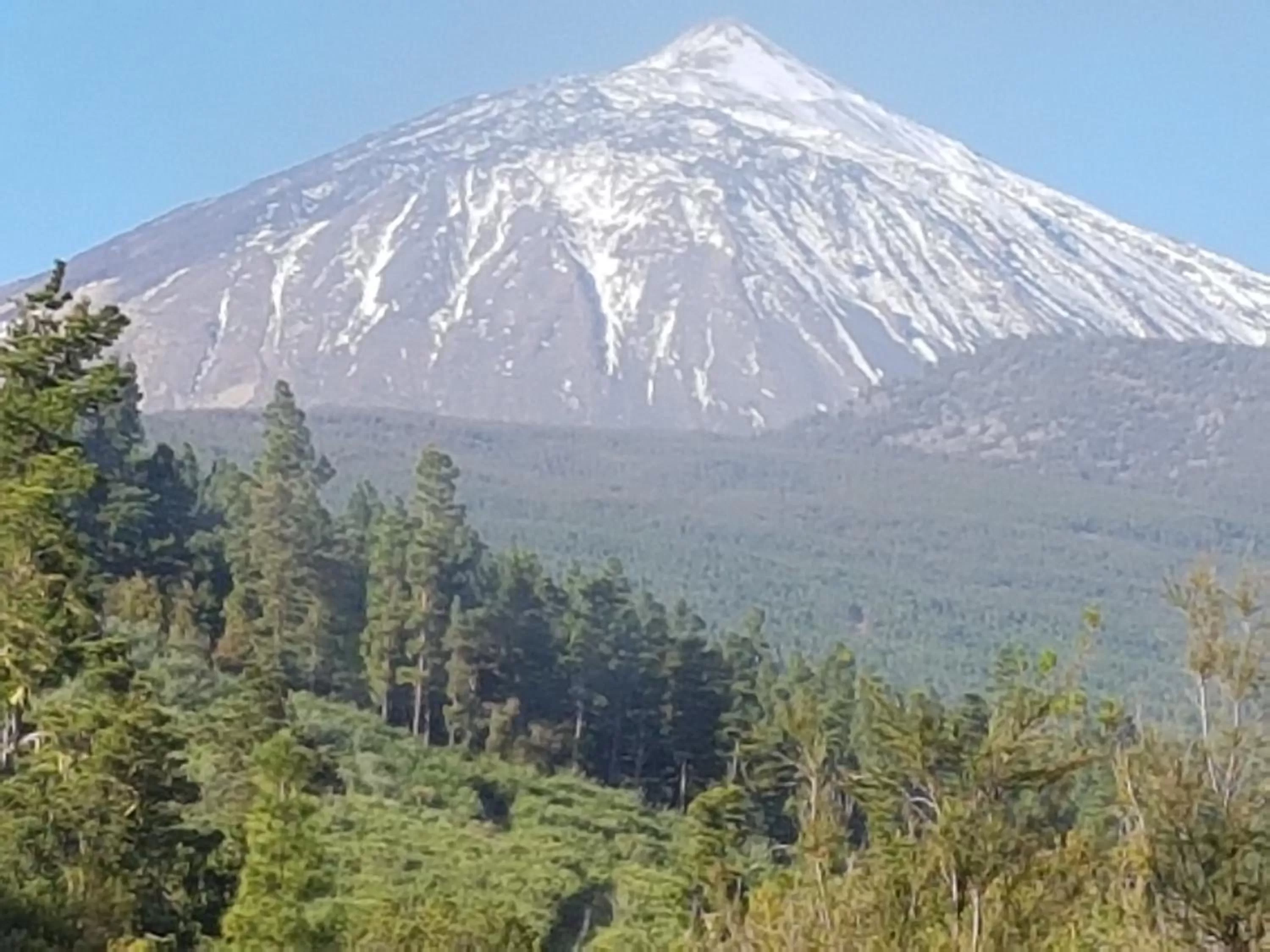 Activities, Natural Landscape in Tenerife Rooms S. C.