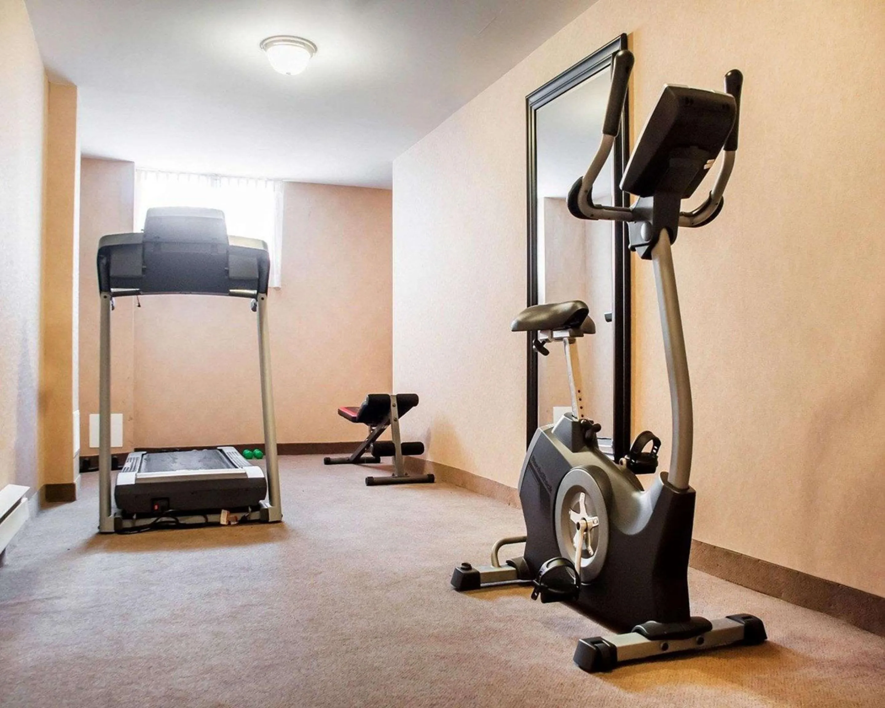 Spa and wellness centre/facilities, Fitness Center/Facilities in Econo Lodge Woodstock