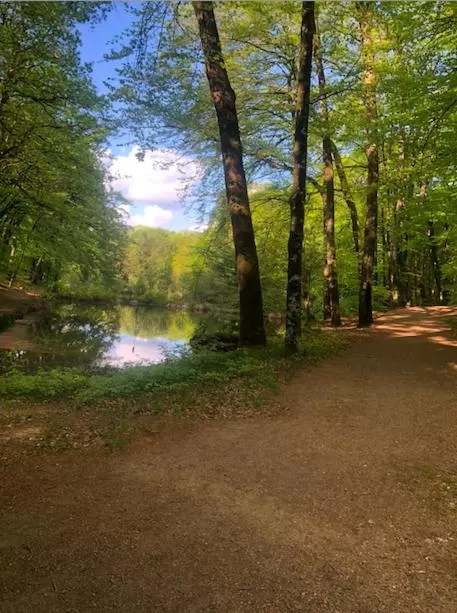 Chambre d'hôte txaleta (le Chalet)