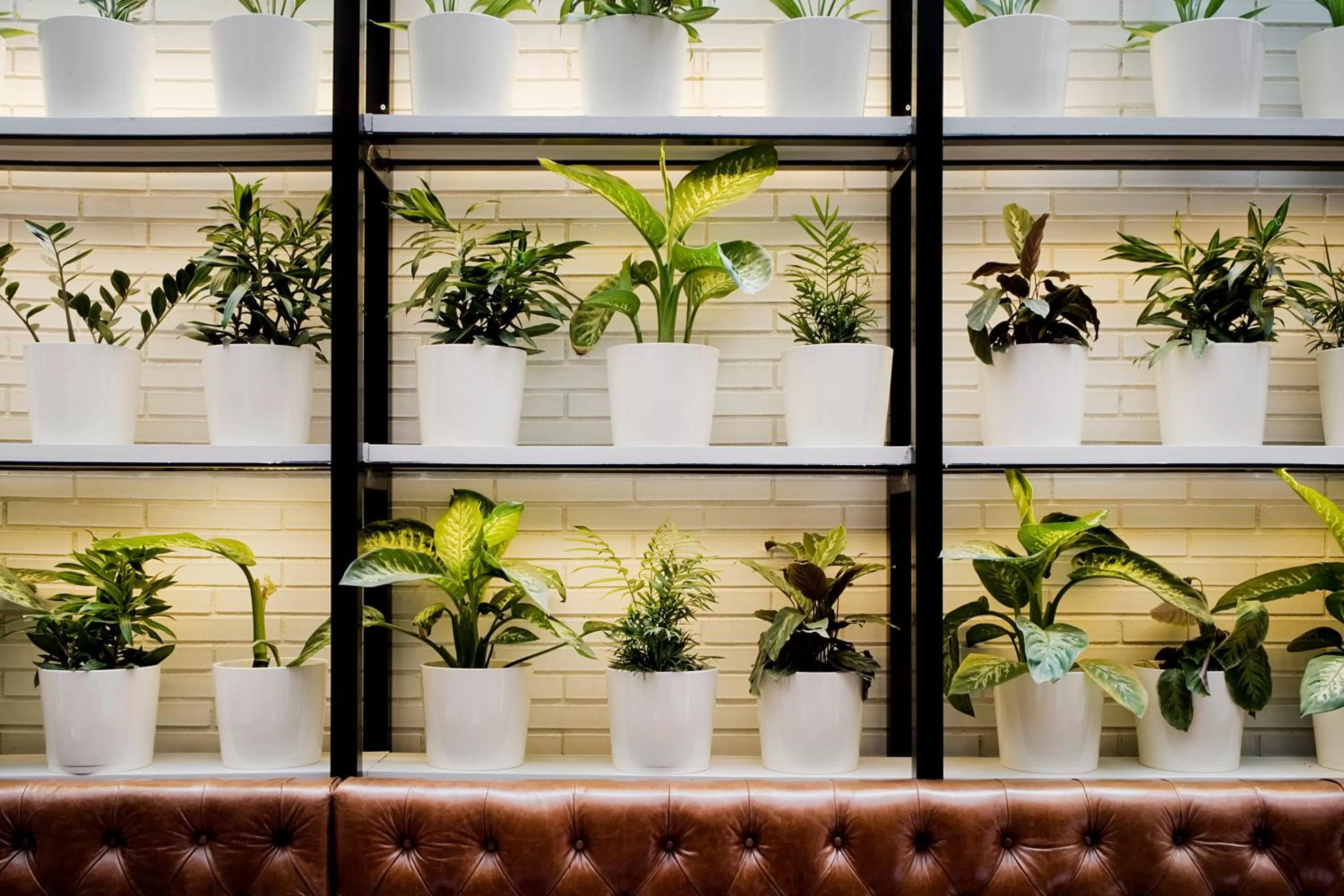 Other in Praktik Bakery