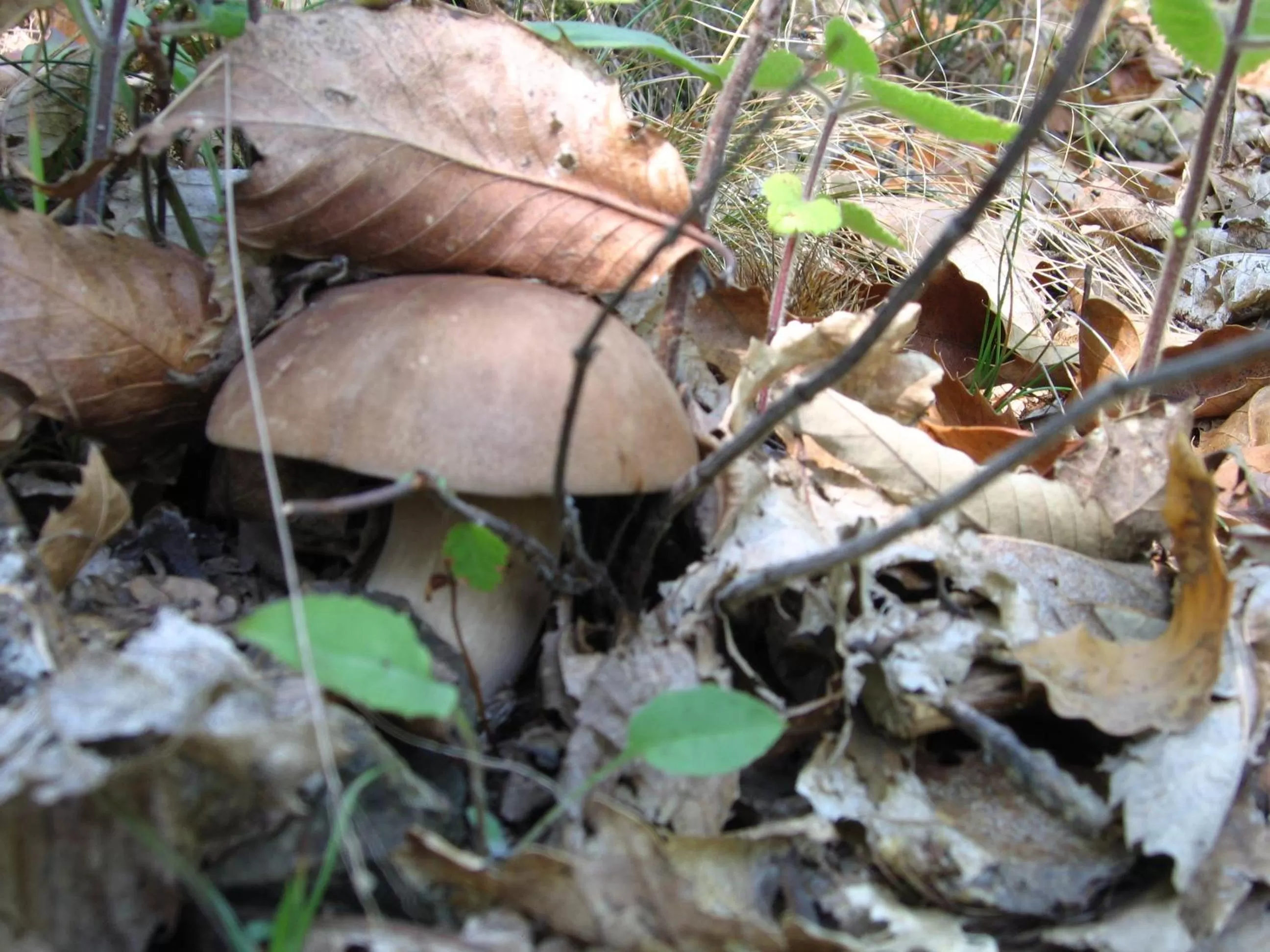 Area and facilities in Hotel Dei Conti