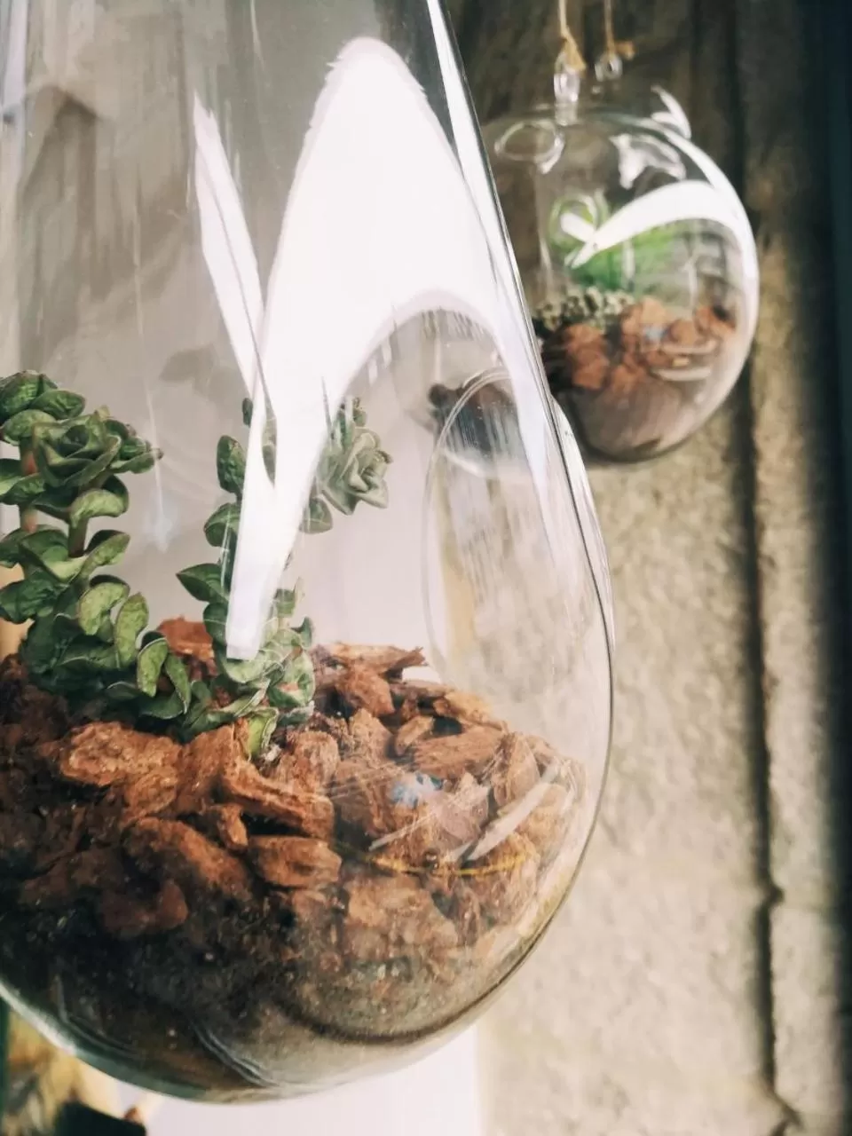 Decorative detail in Casa do Marqués