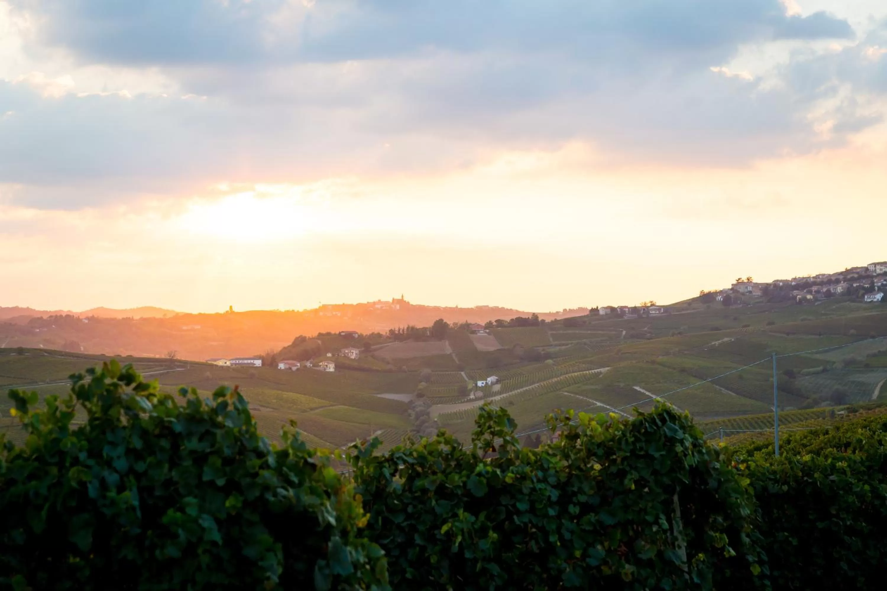 Landmark view in Hotel Monteverde