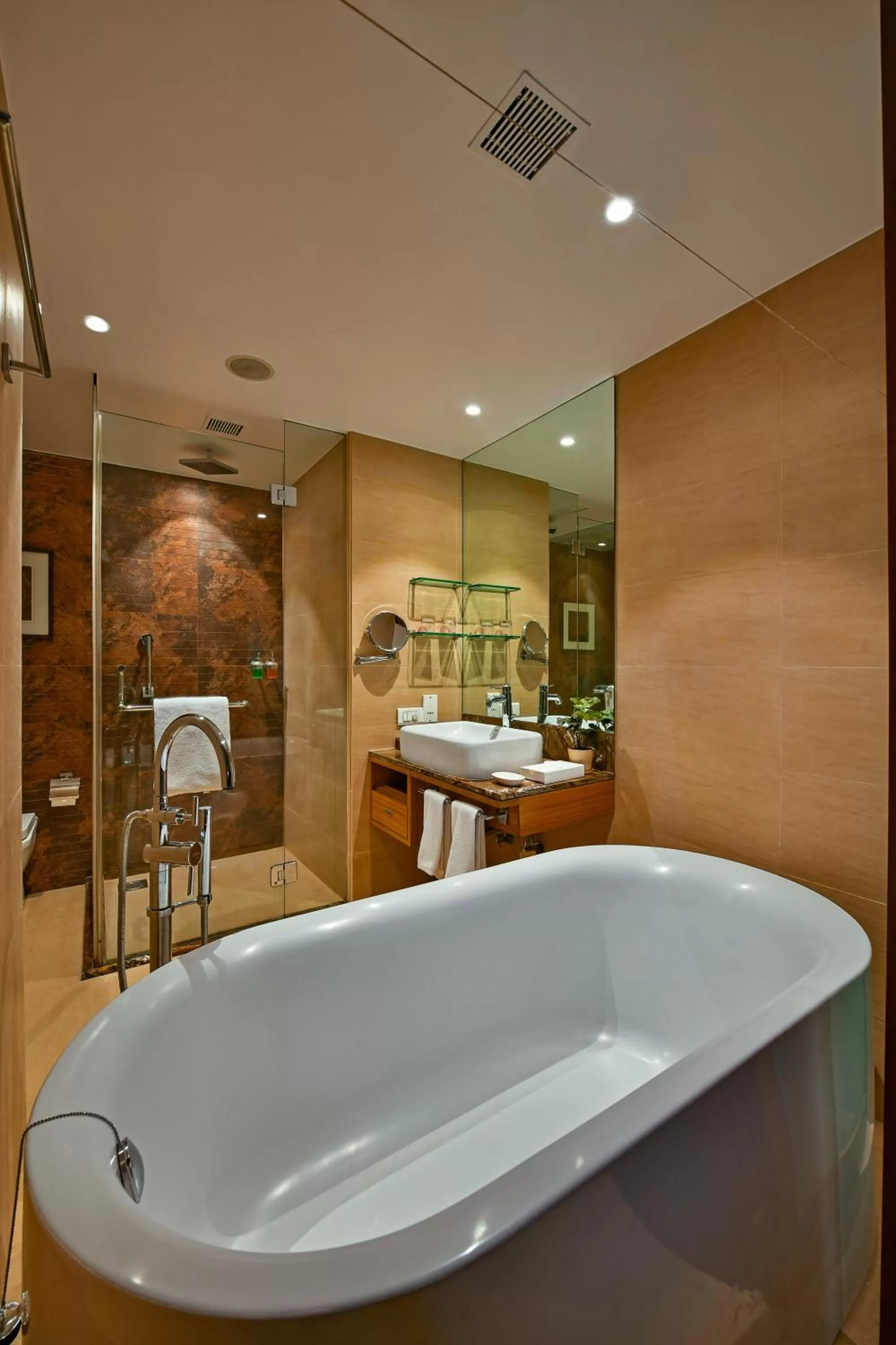 Bathroom in Fariyas Resort Lonavala