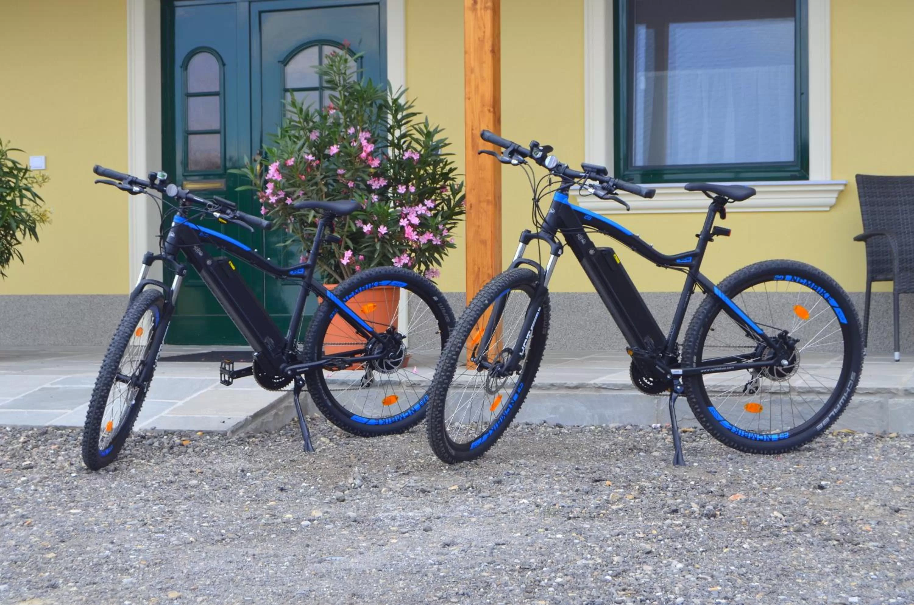 Cycling in Pension zum Strell