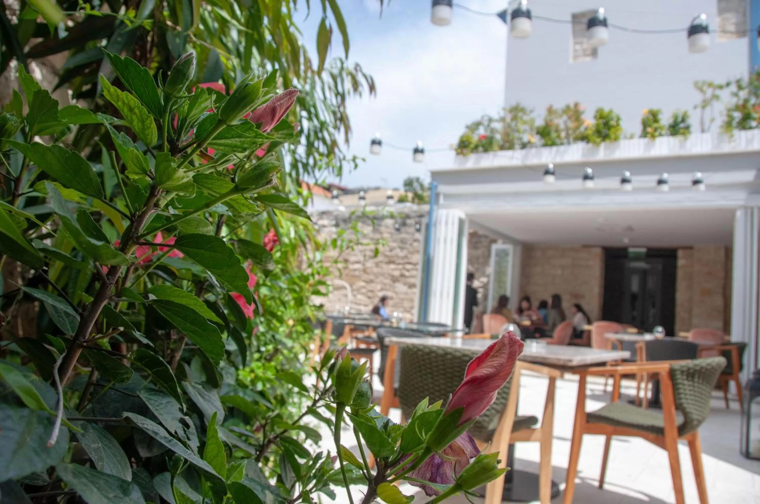 Restaurant/places to eat in S Paul City Hotel