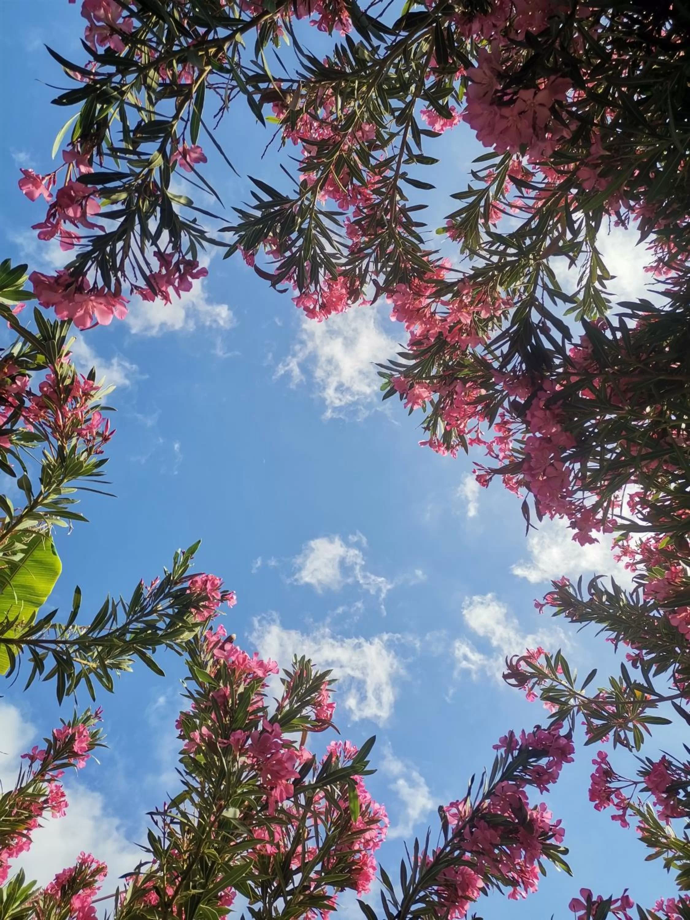 On site in Kiriş Garden Hotel