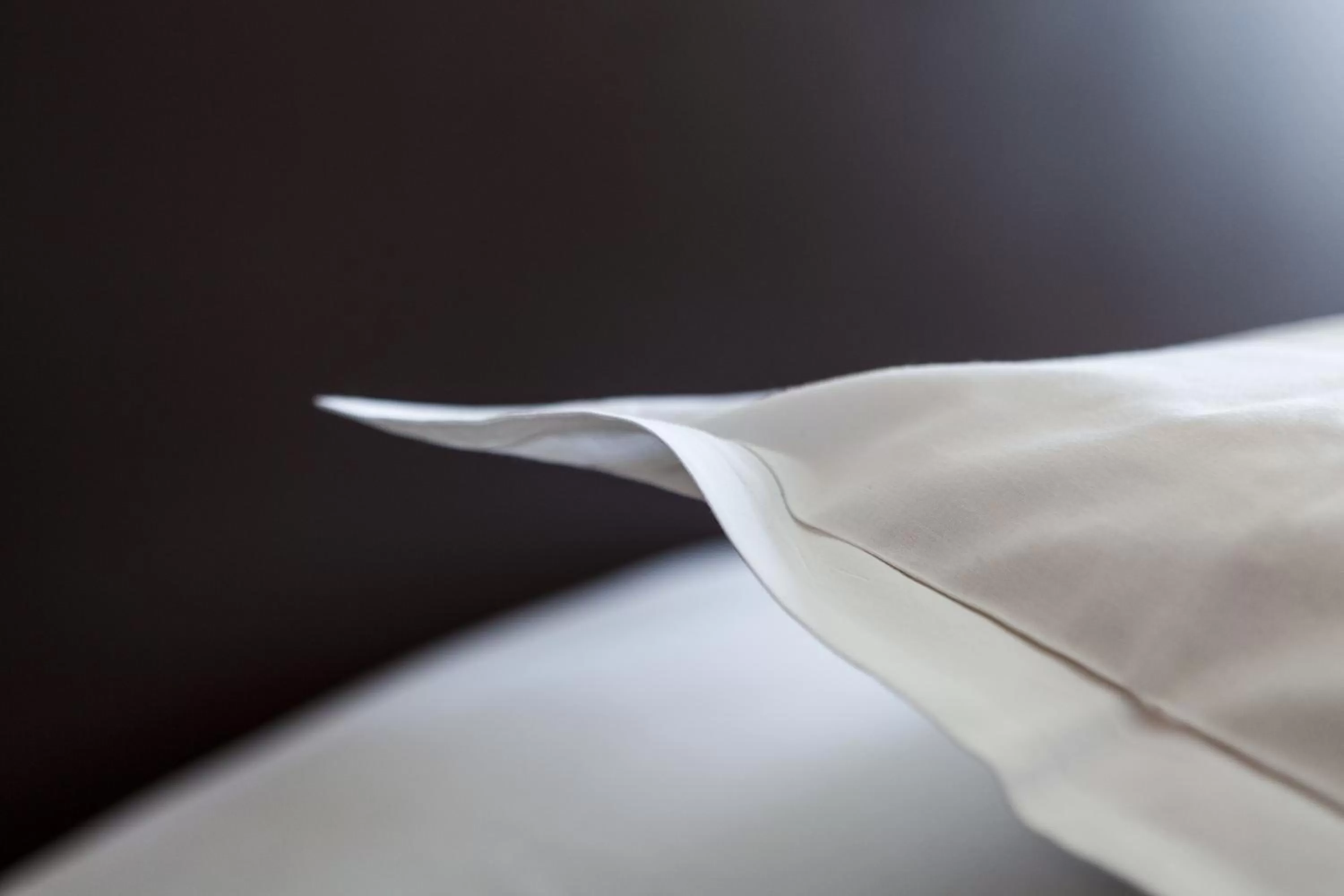 Decorative detail in initial by balladins Blois