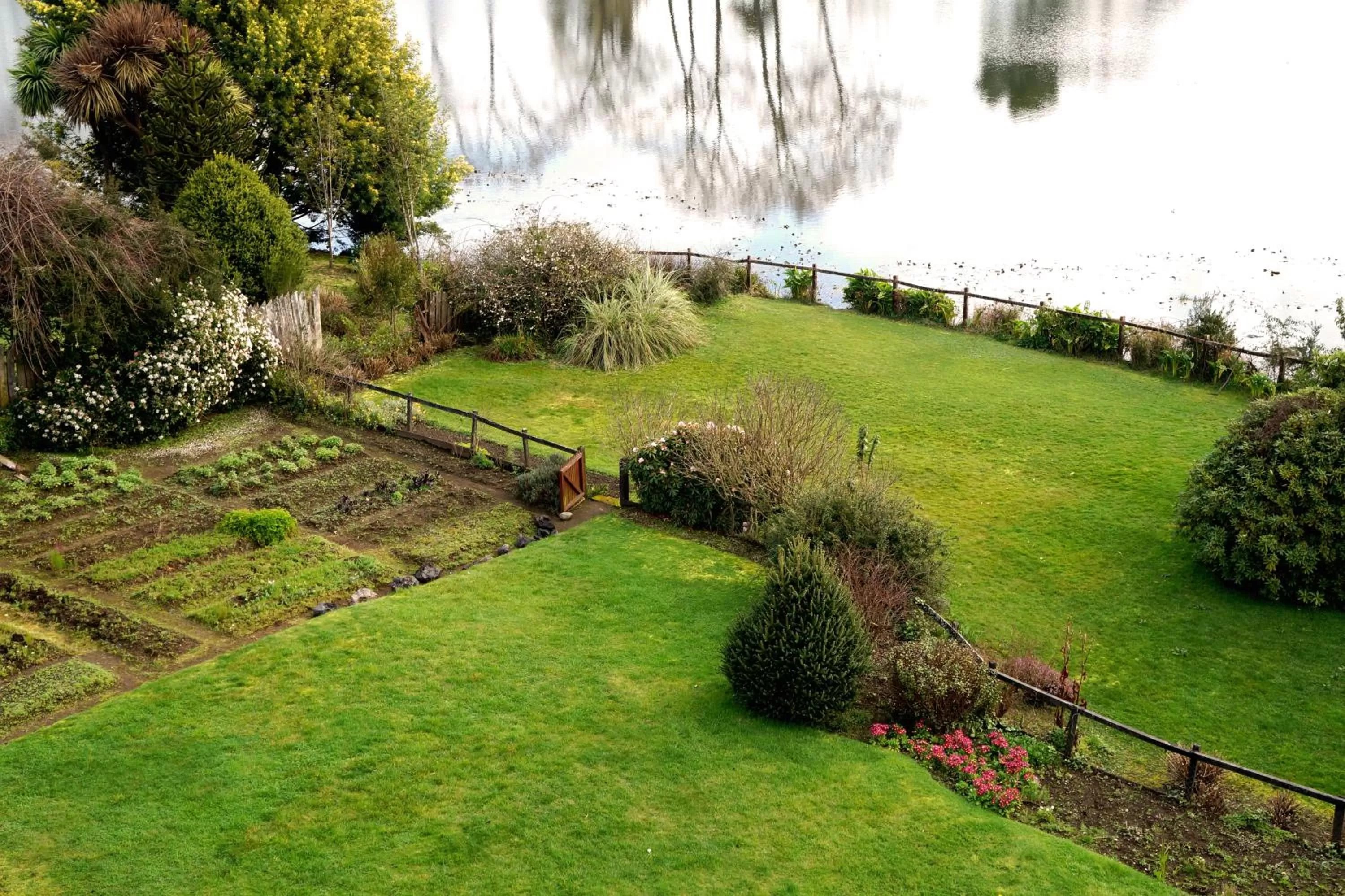 Garden in Hotel Boutique Casa Werner