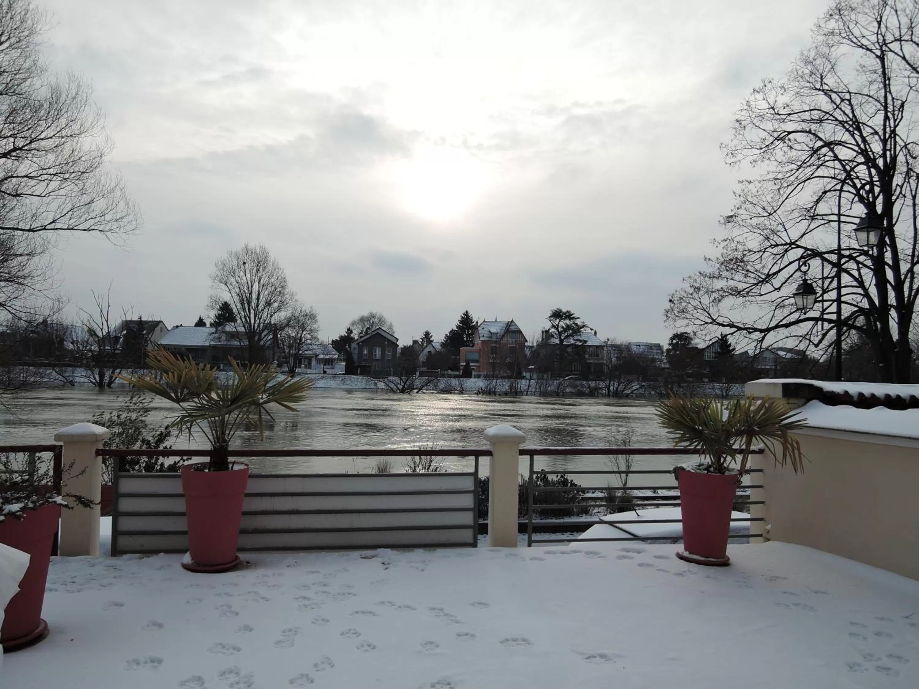 LES PINGOUINS DE LA MARNE