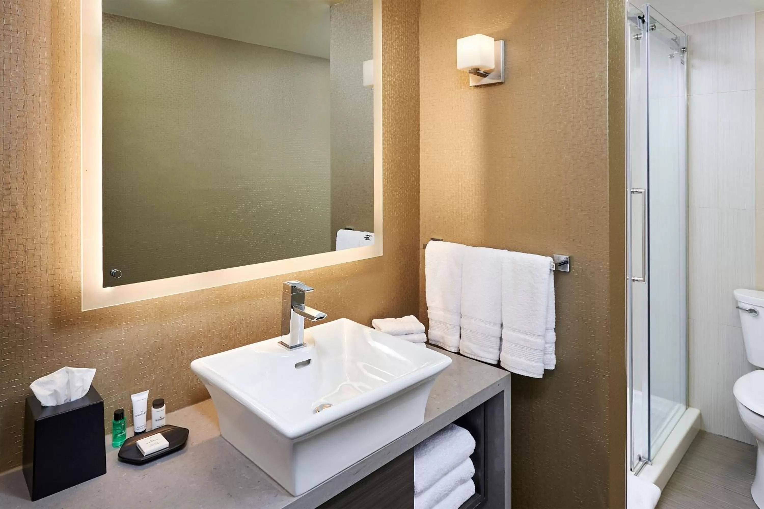 Bathroom in Sheraton Hamilton Hotel