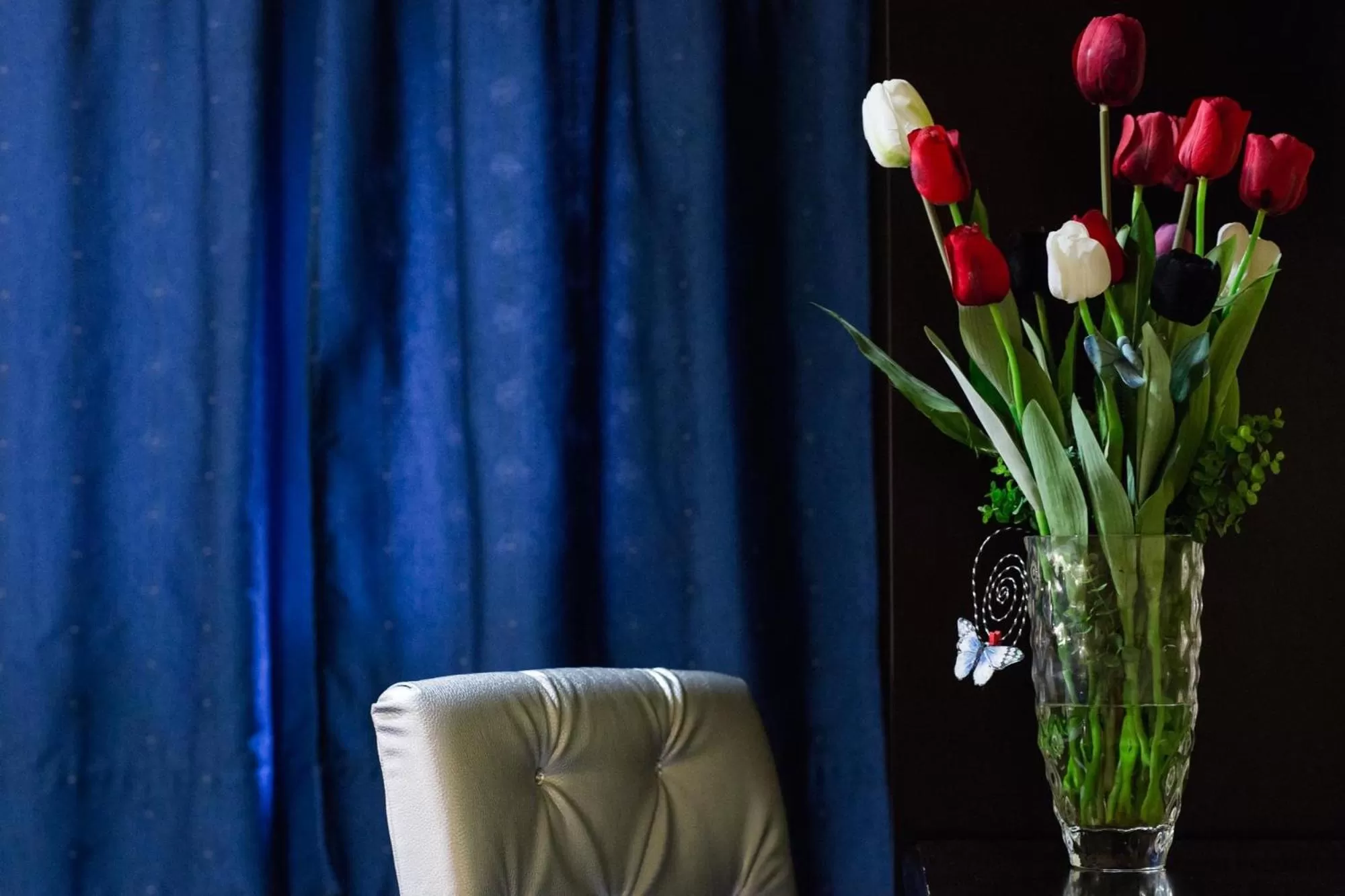 Twin Room in Hotel Tulipa