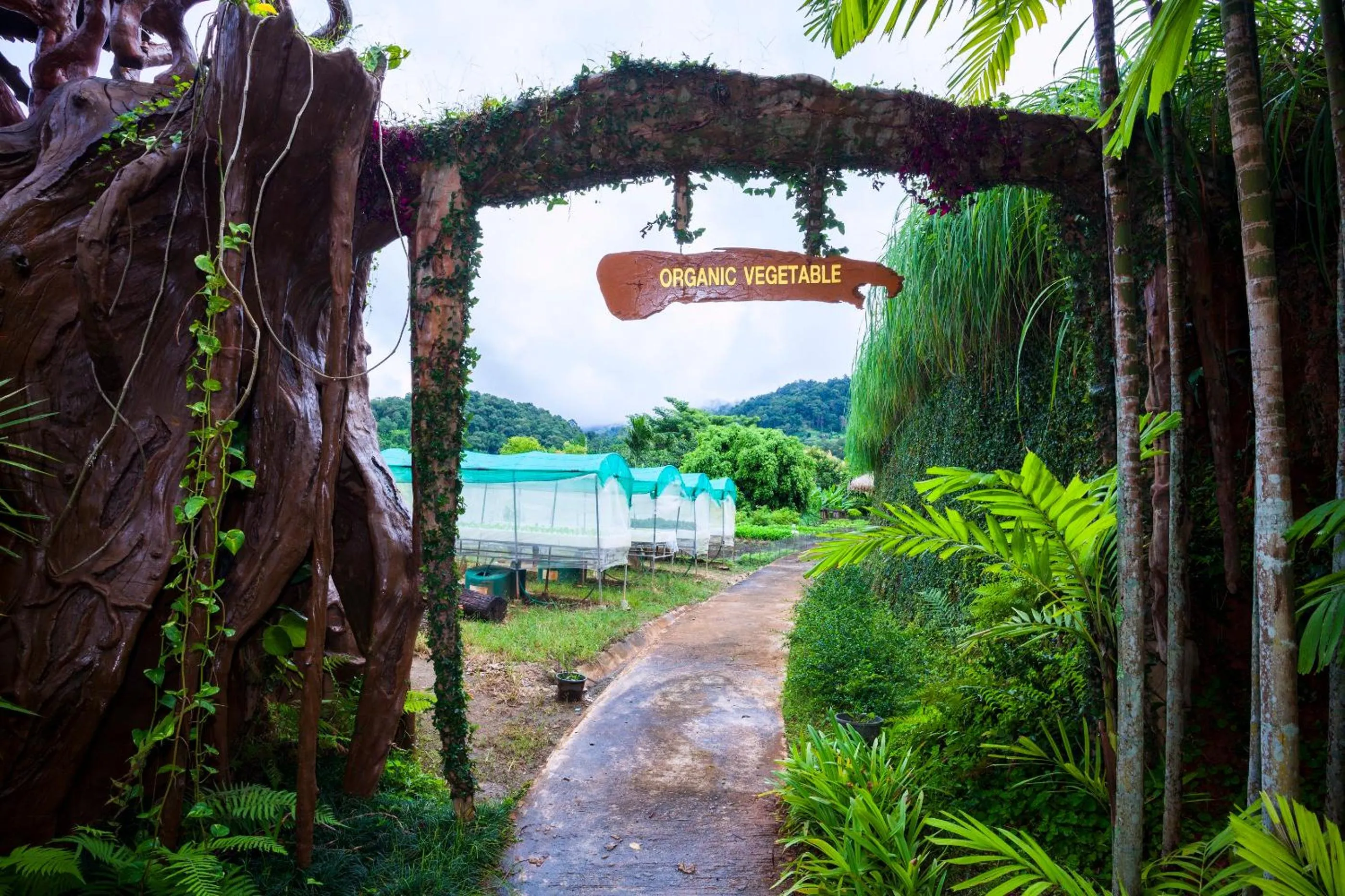 Garden in Panviman Chiang Mai Spa Resort