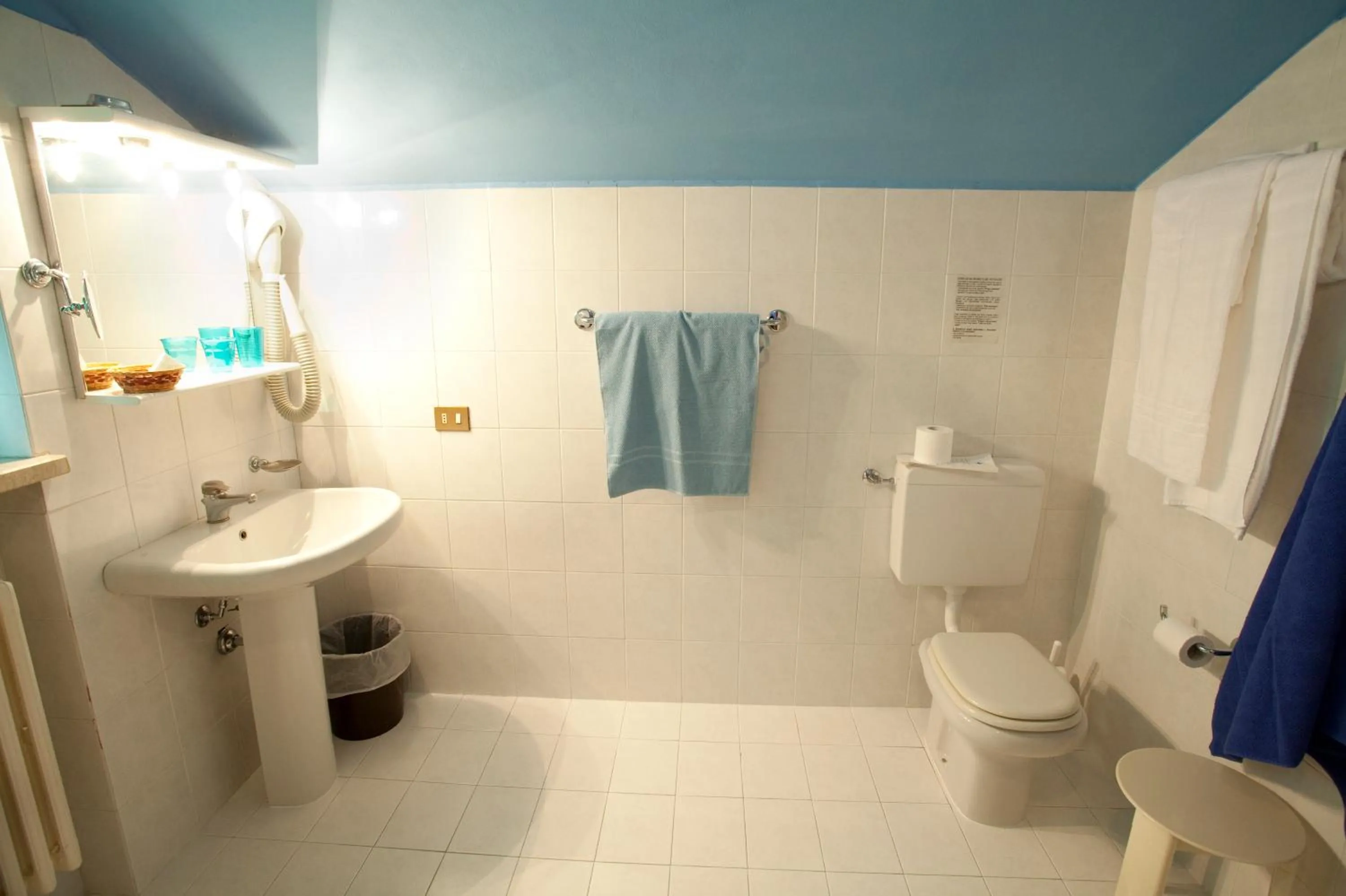 Toilet in Hotel Elite