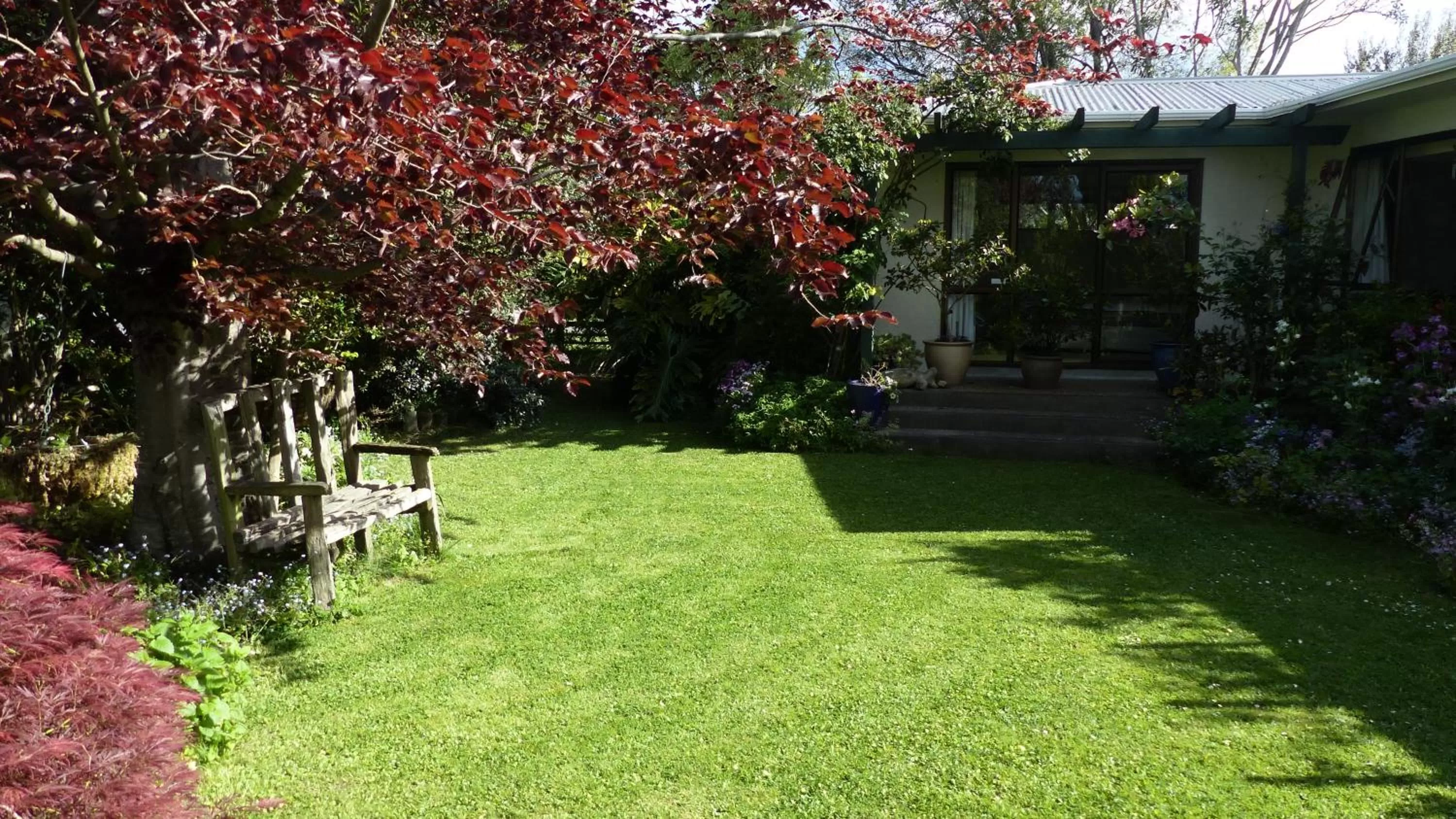 Natural landscape, Garden in Ashcroft Gardens Bed & Breakfast