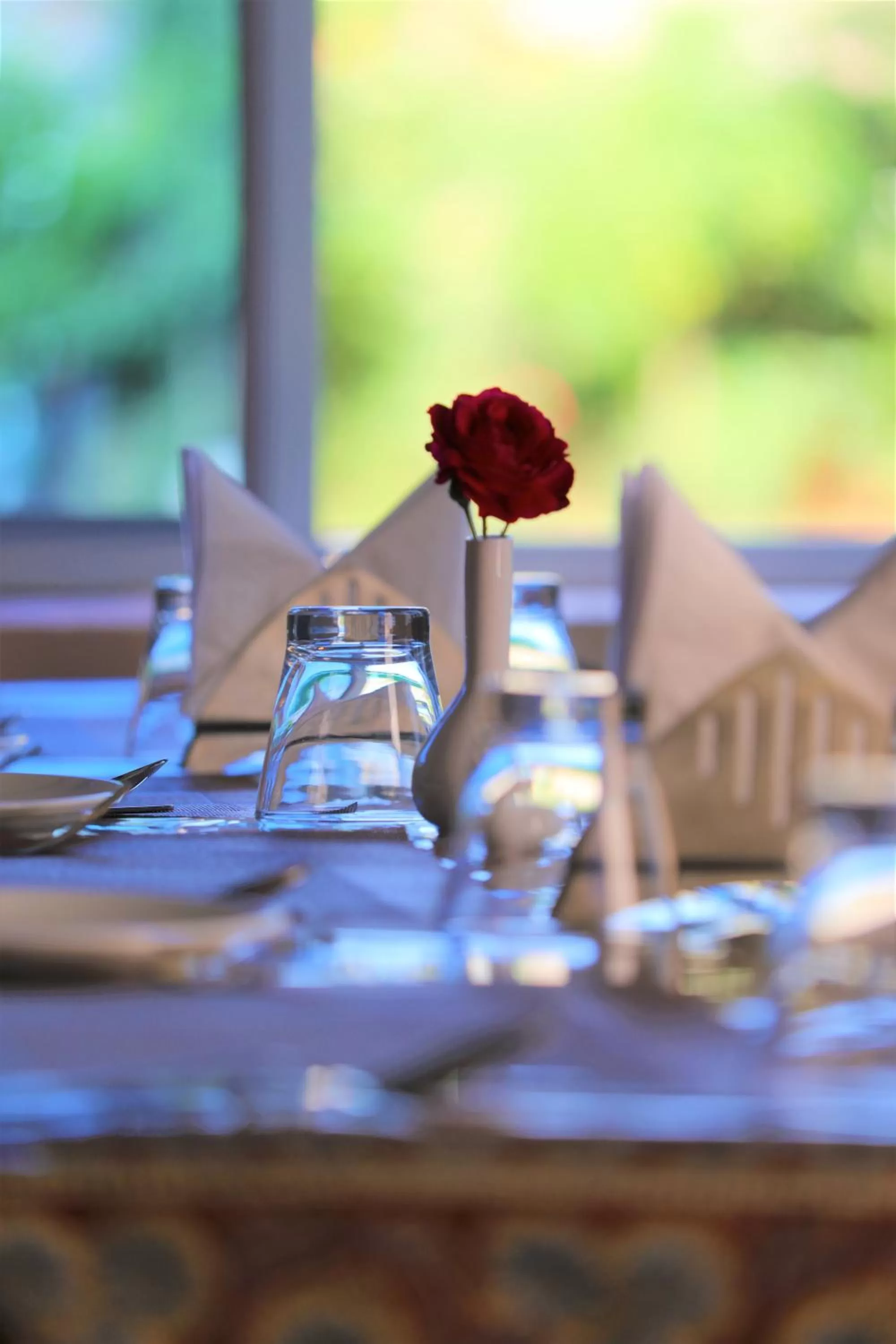 Paridhi Niwas, Ranthambore- near Tiger Safari Zones 1-5