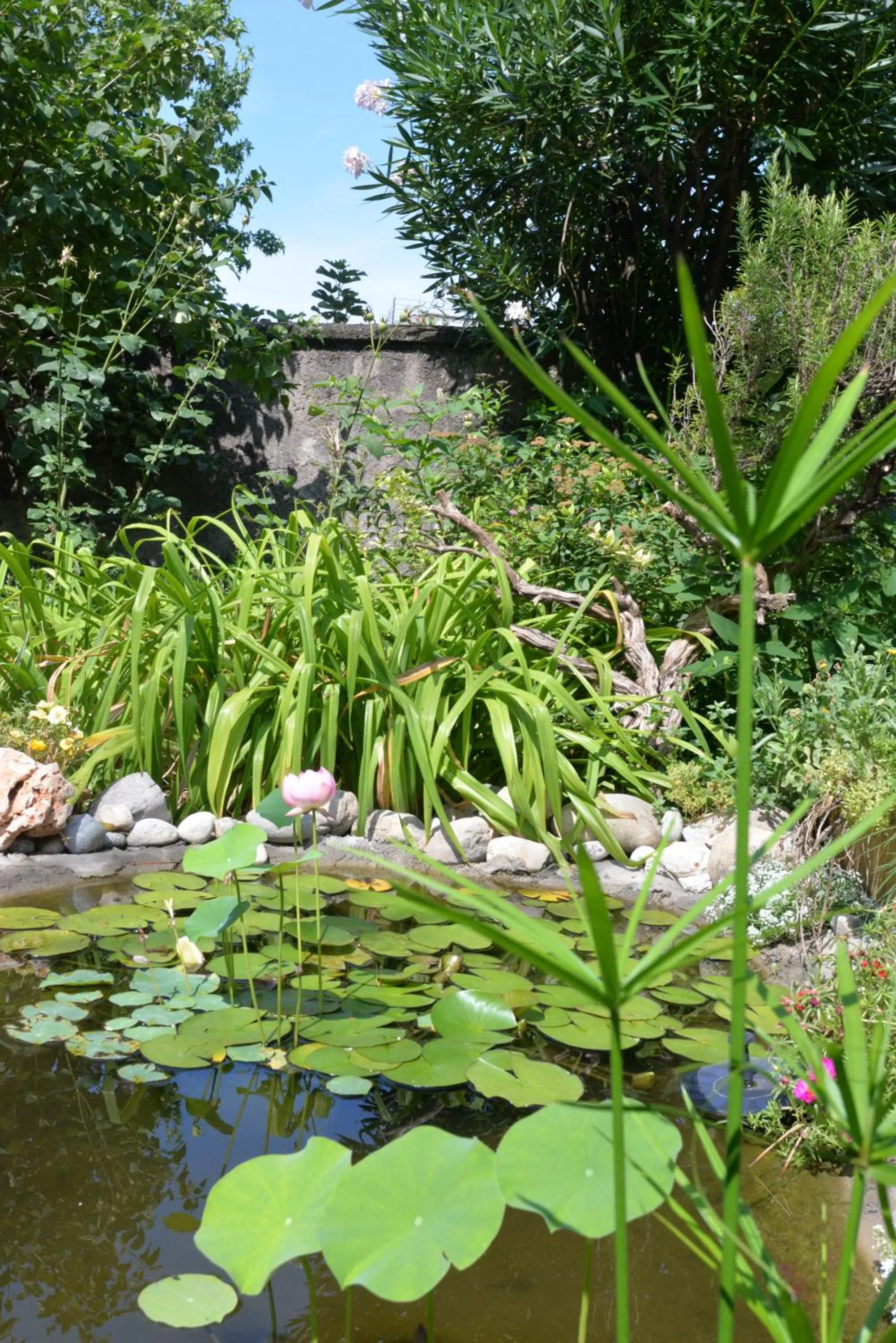 On site in Albergo della Torre dal 1891