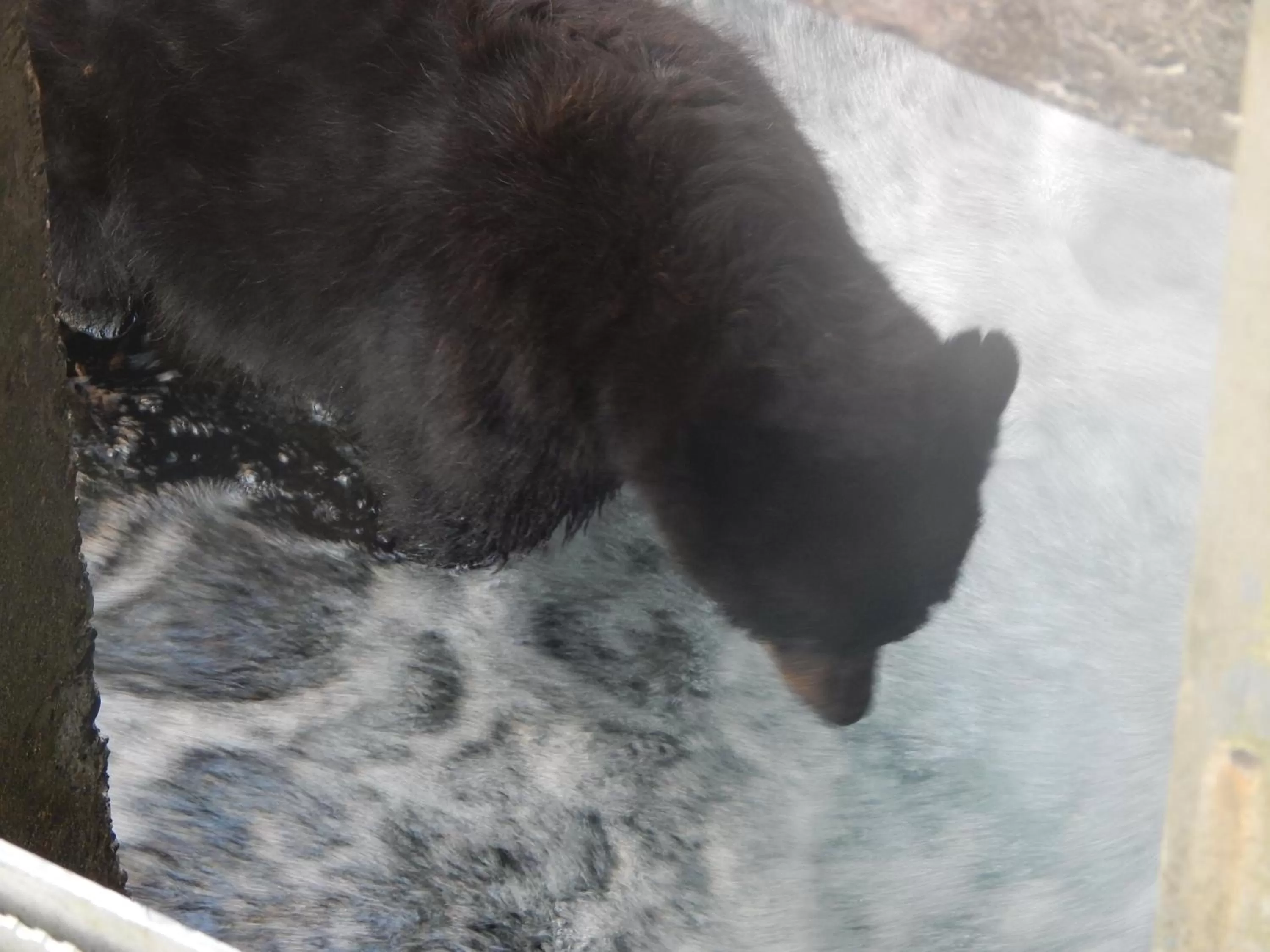 Off site in Money Pennies Bed and Breakfast