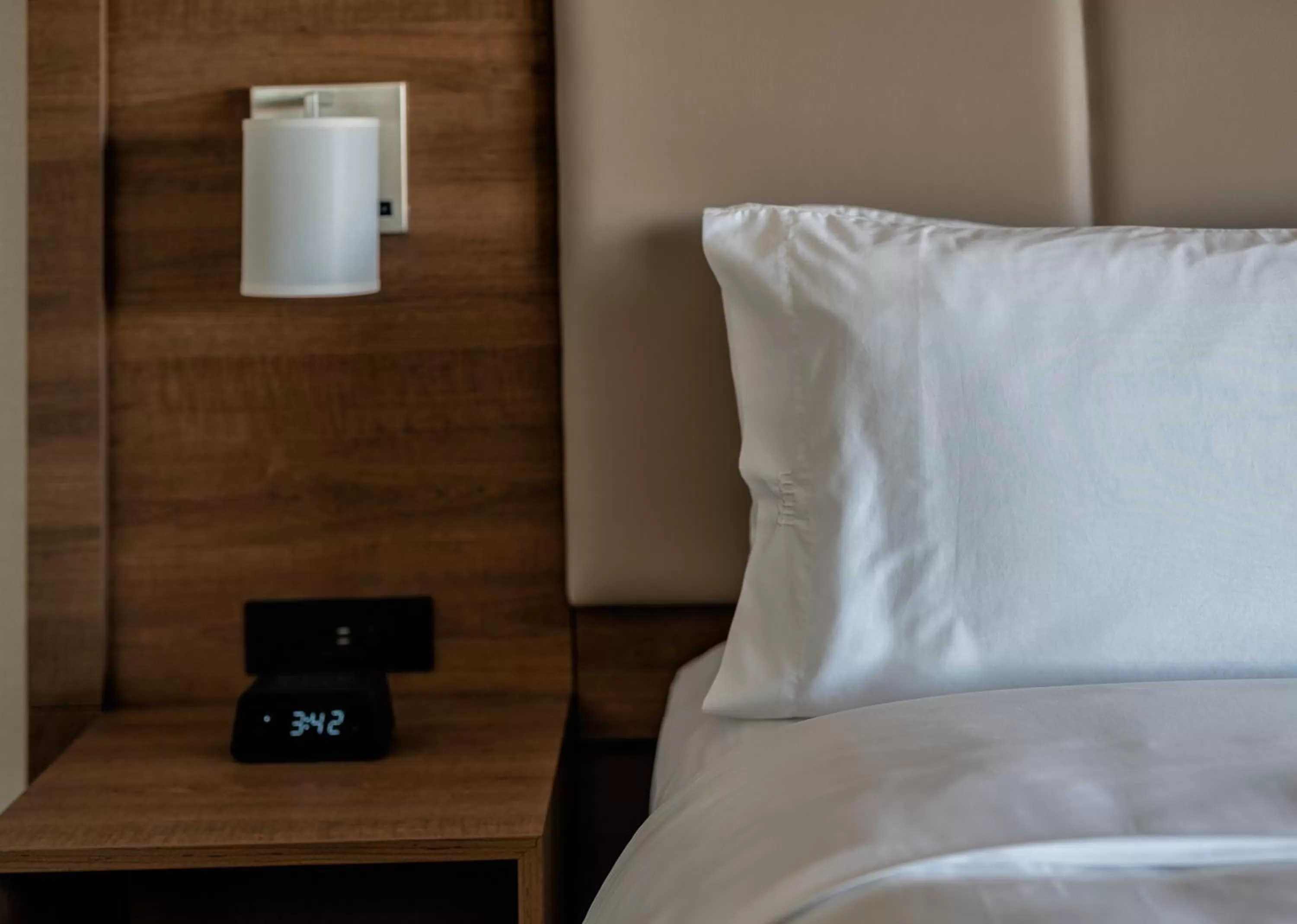 Photo of the whole room, Bed in Holiday Inn Express & Suites - Brandon by IHG