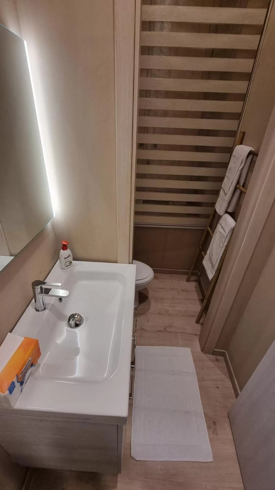 Bathroom in Bio Room