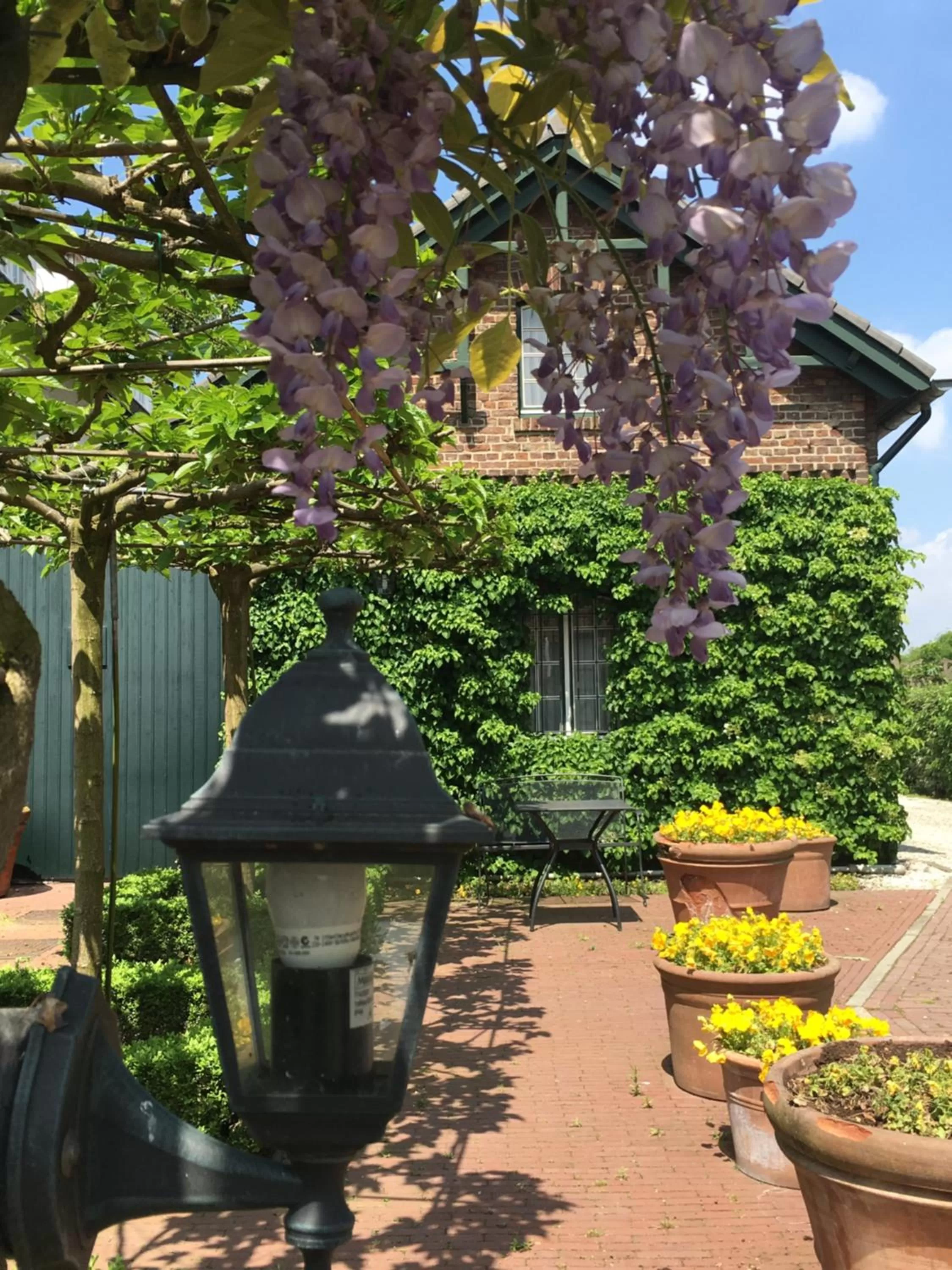 Area and facilities in Hotel Brull