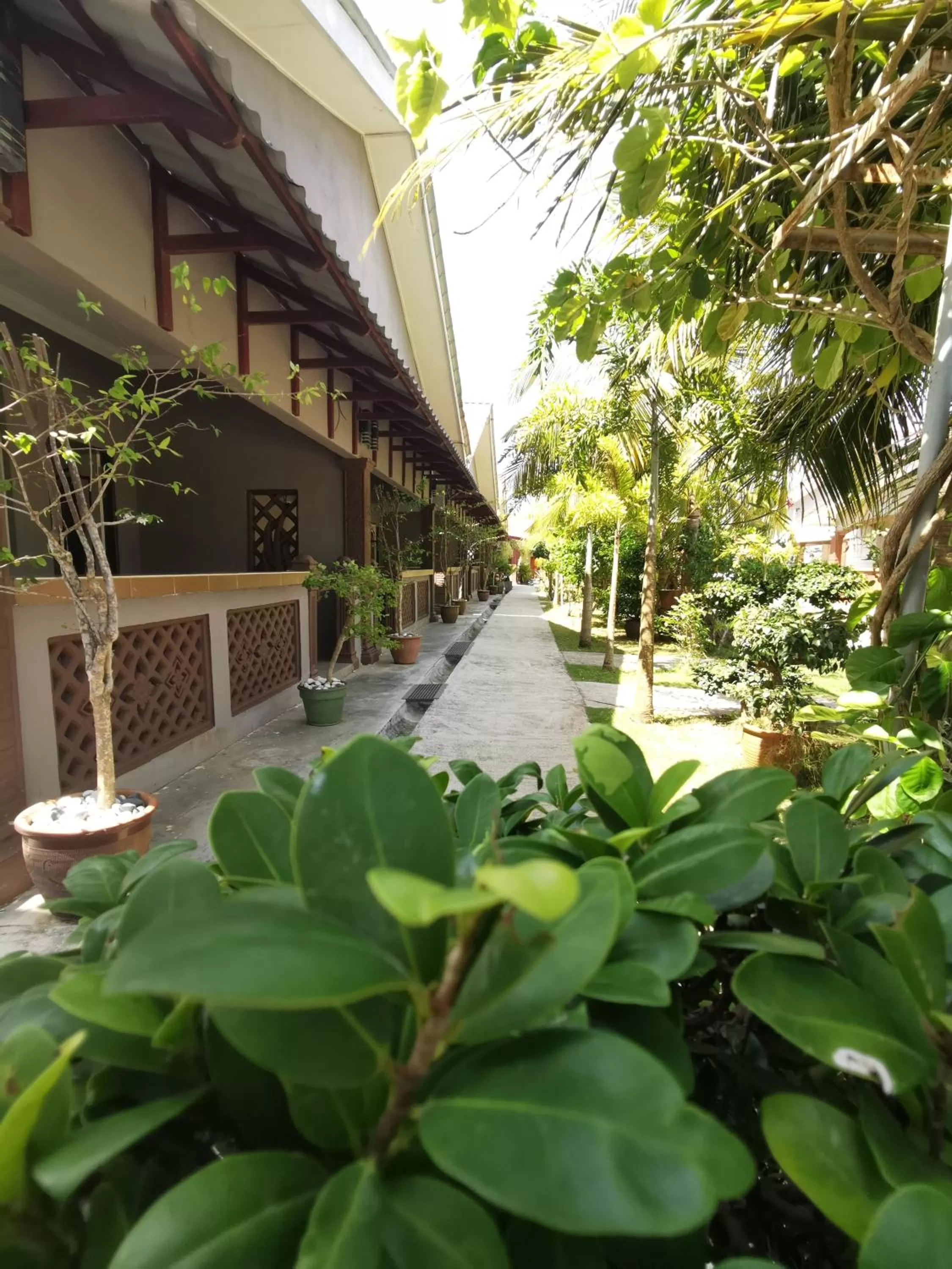 Garden in Cenang Room Rahsia Motel