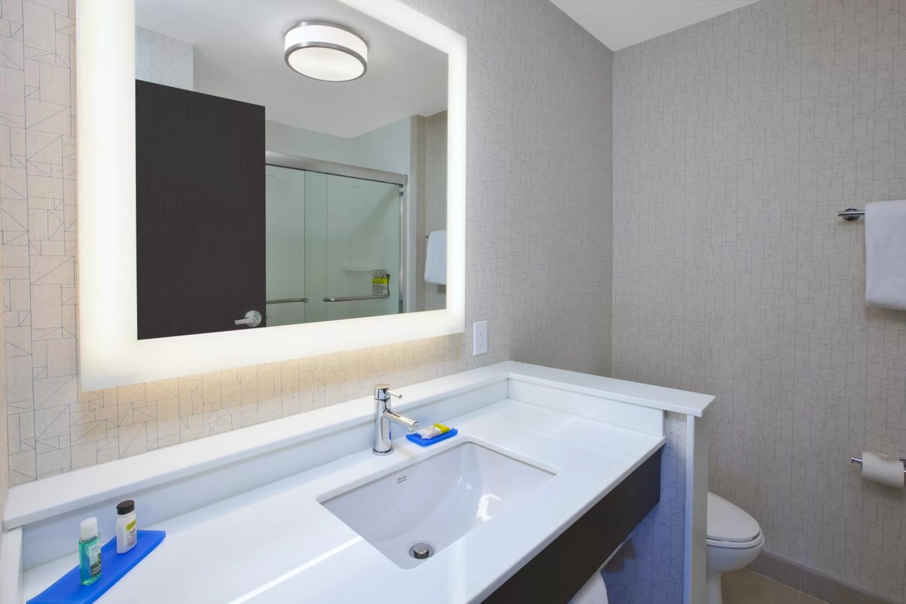 Bathroom in Holiday Inn Express - Auburn Hills South by IHG