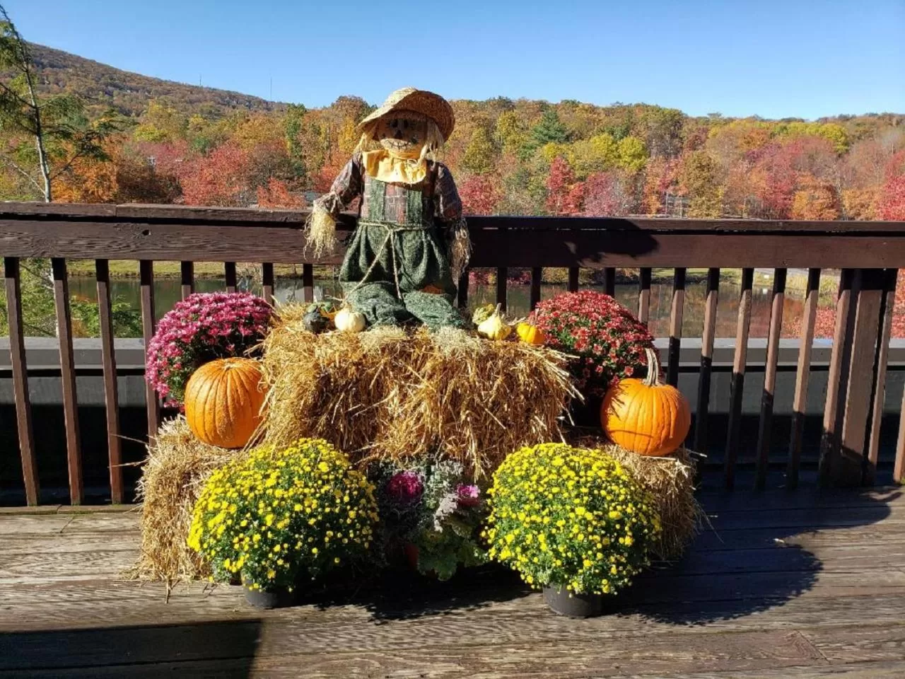 View (from property/room) in Chateau Resort & Conference Center