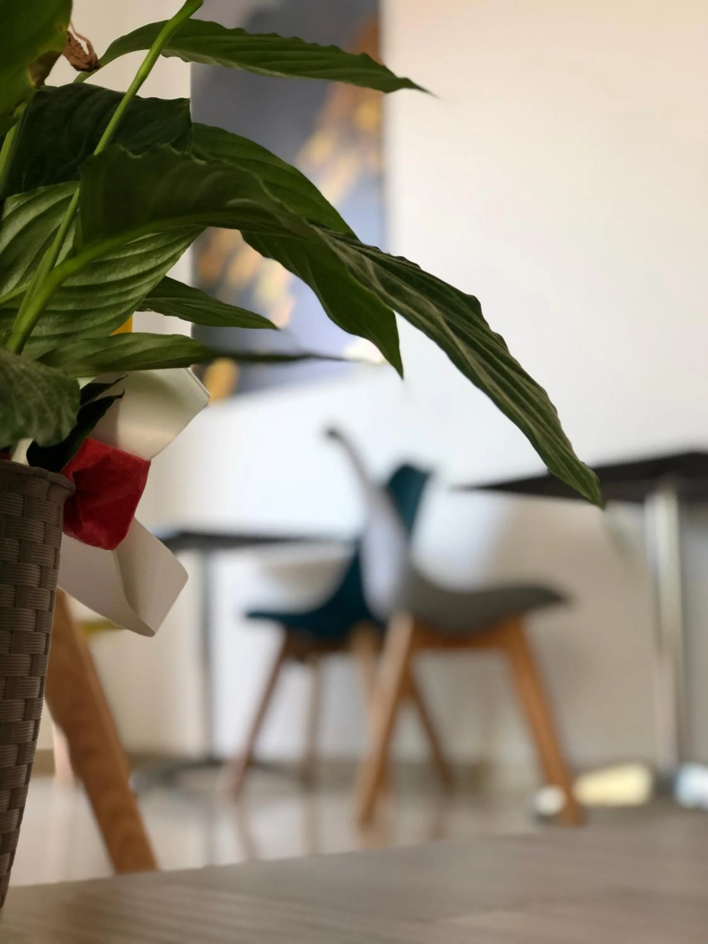 Albergo Milazzo Inn AiMori