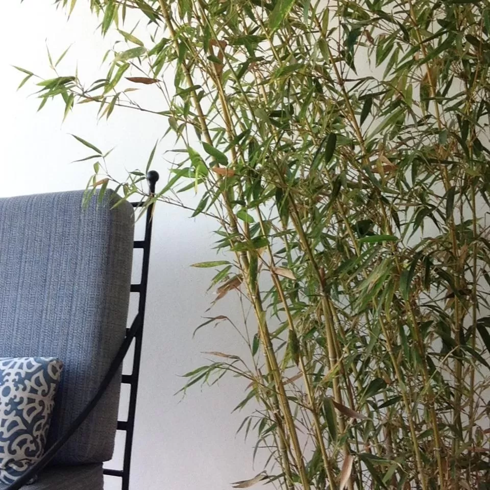 Terramaya Boutique Hotel