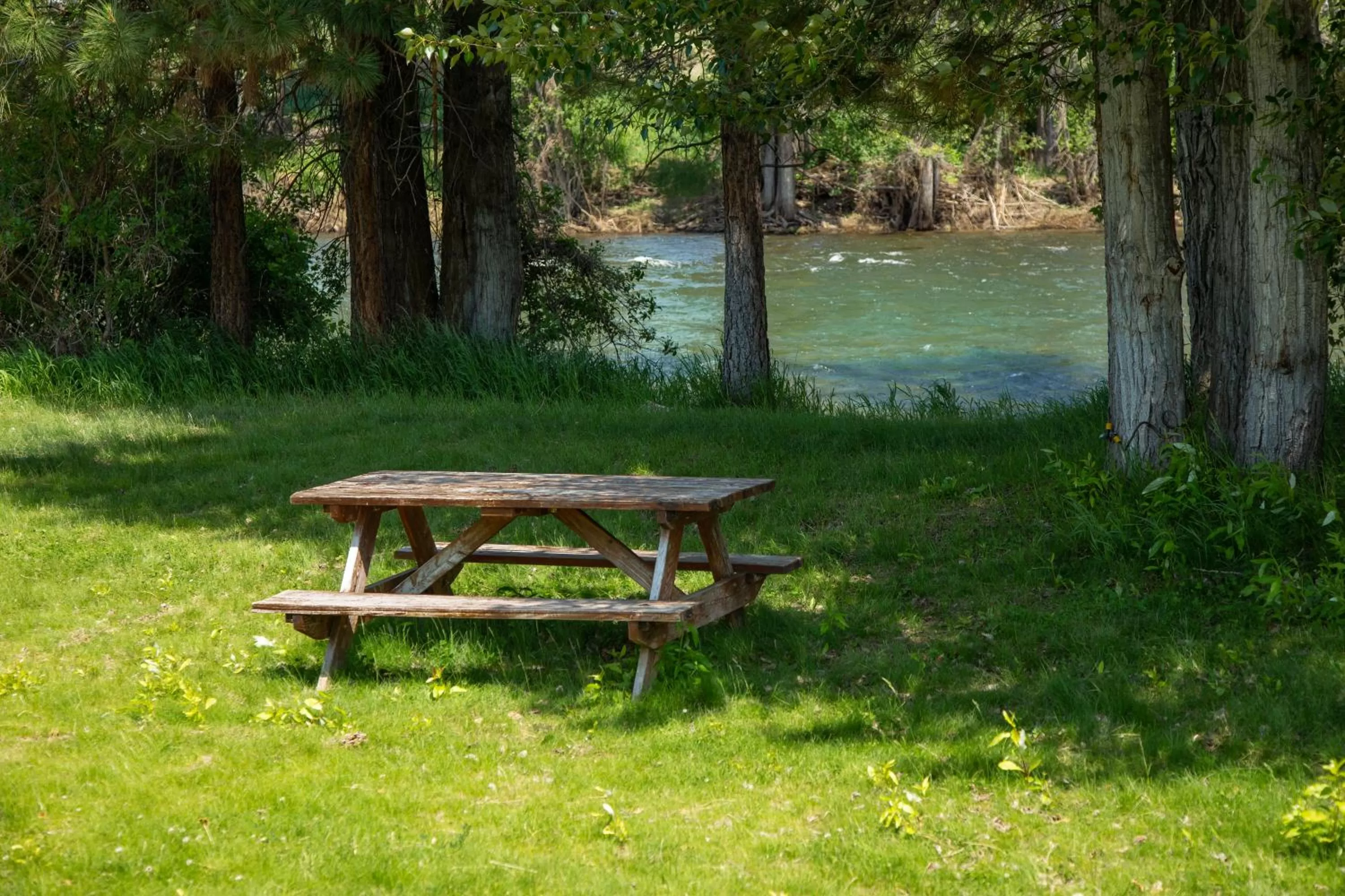 River view in AbbyCreek Inn