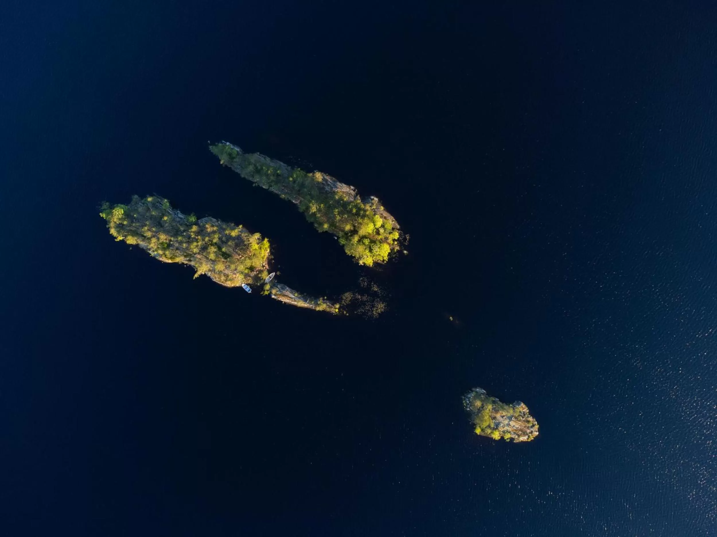 Natural landscape in Olo Center by Kolovesi National Park