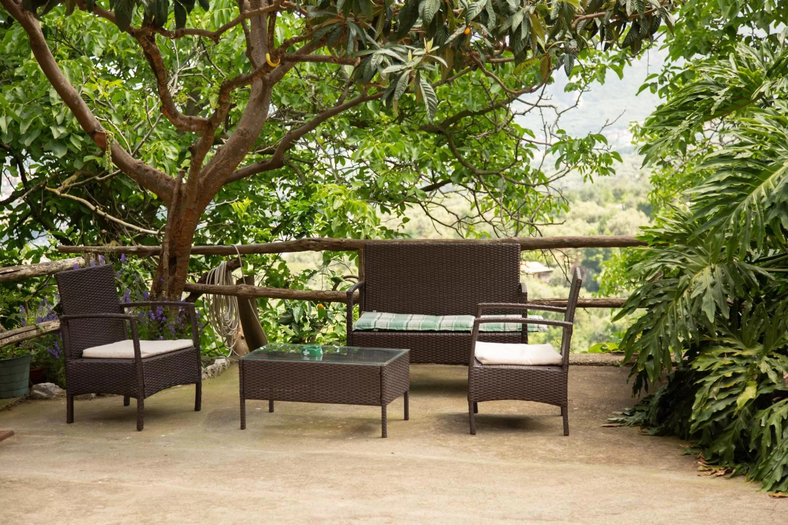 B&b L' Arancio in fiore