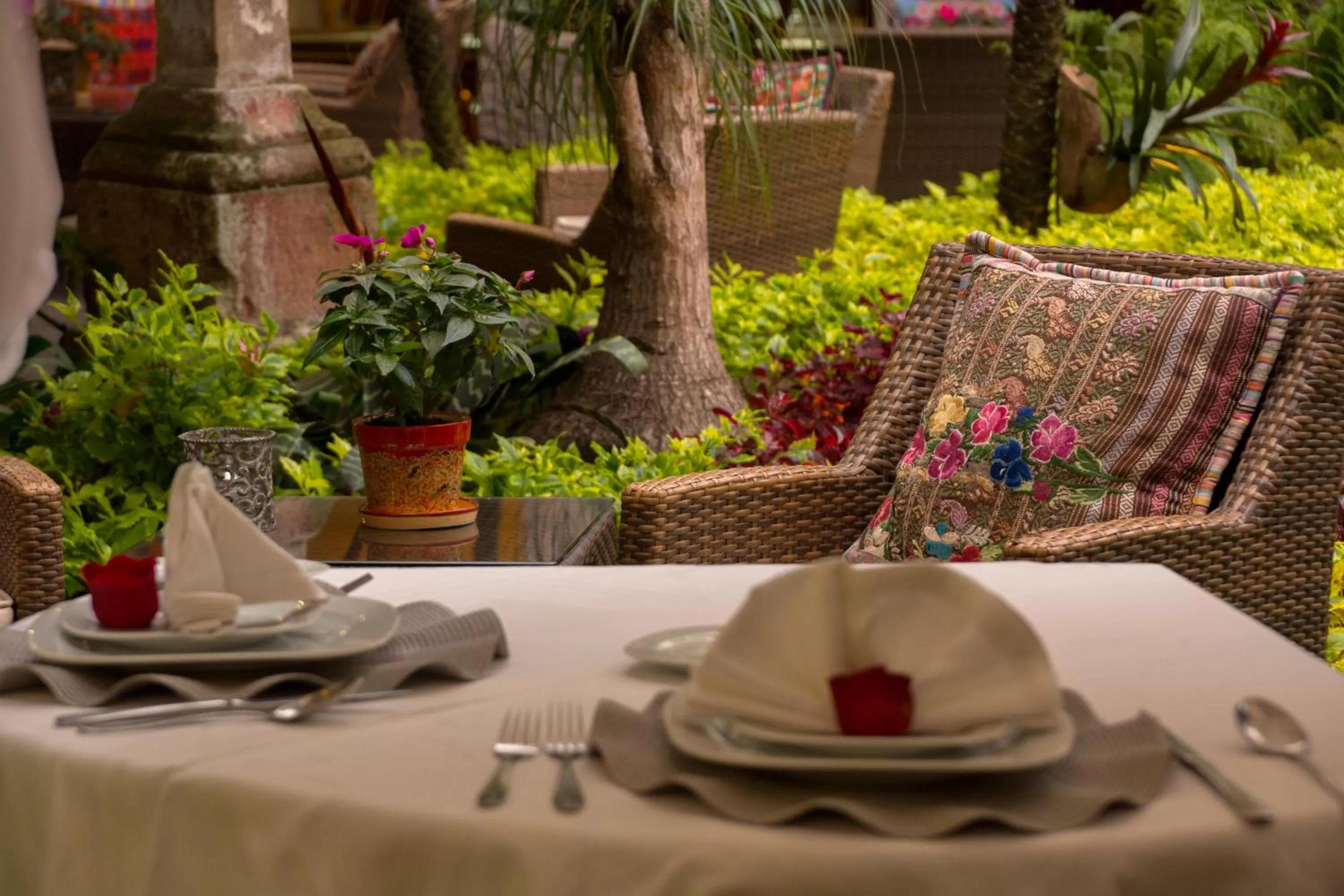 Patio in Hotel De La Soledad