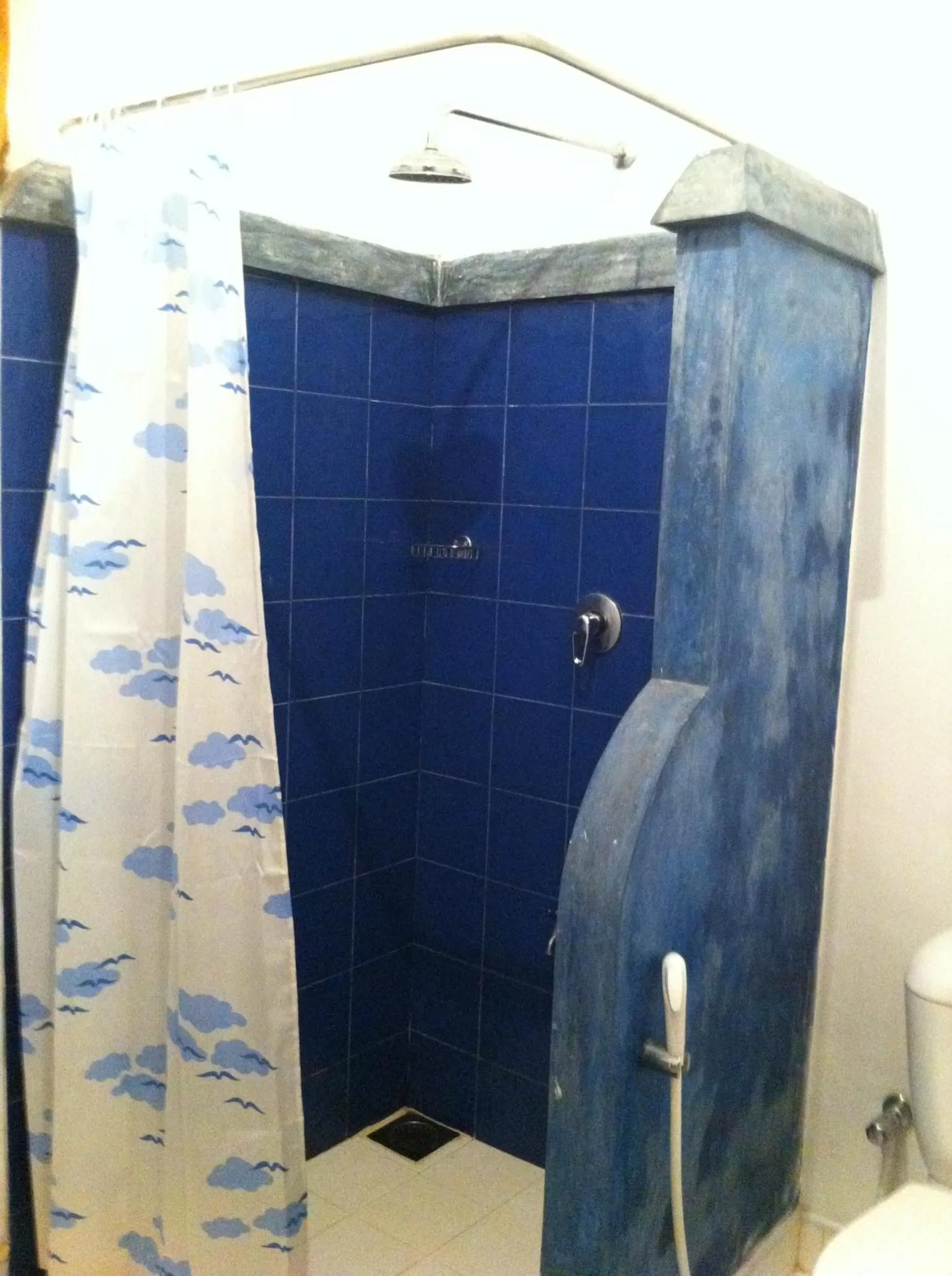 Shower in Little Paradise Tourist Guest House and Holiday Home