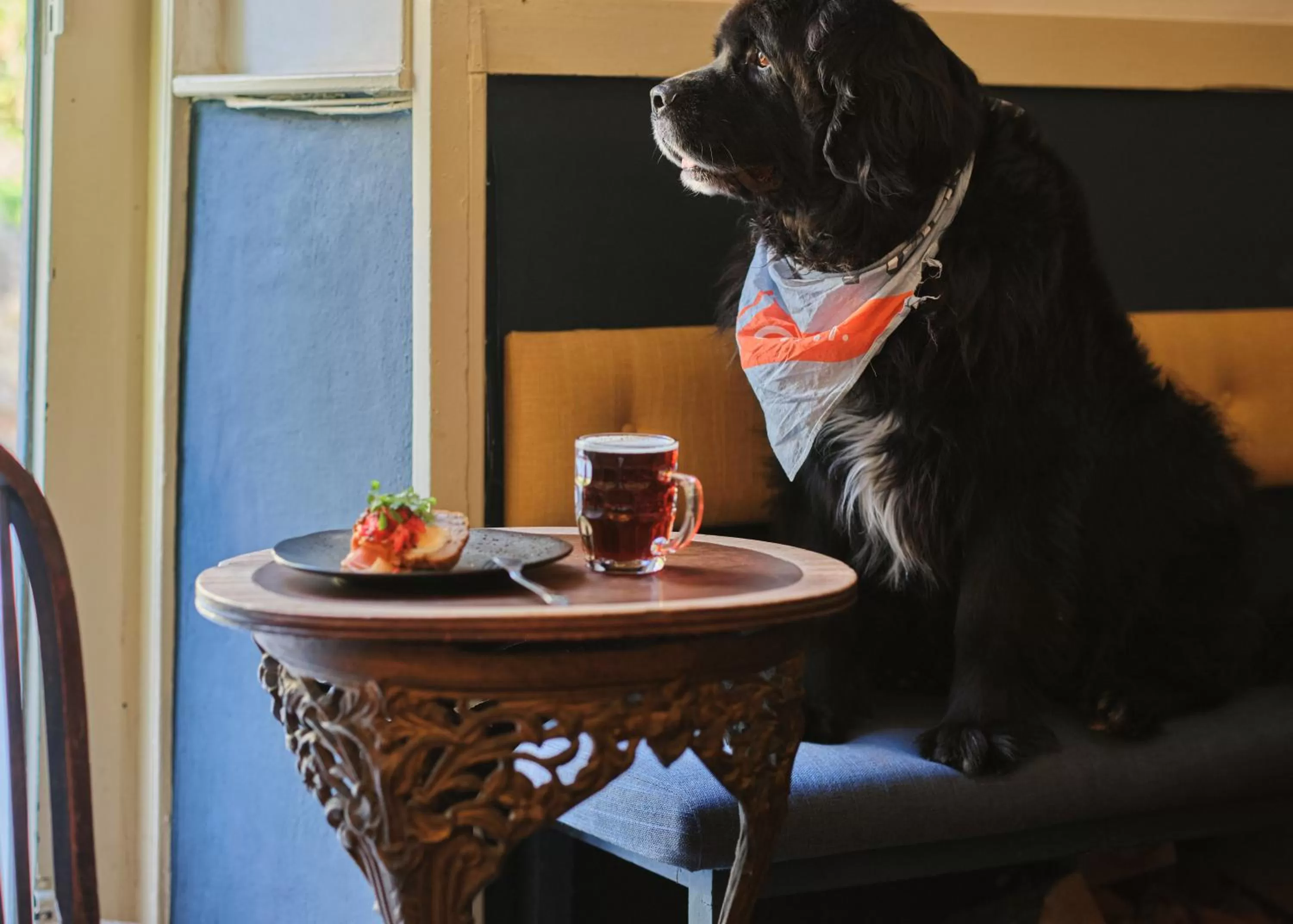Lounge or bar in The Old Ferry Inn