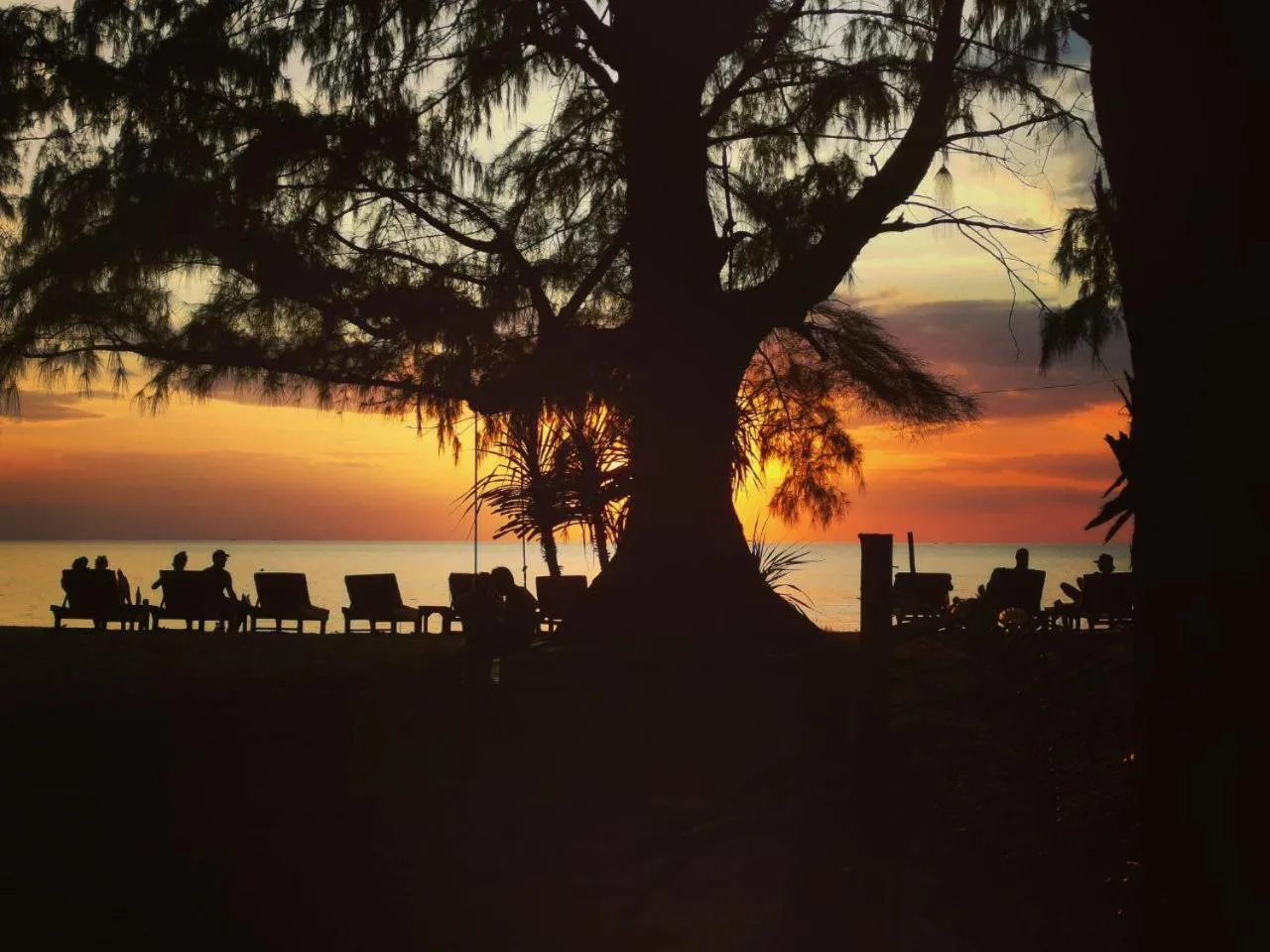 Natural landscape in Eco Lanta Hideaway Beach Resort