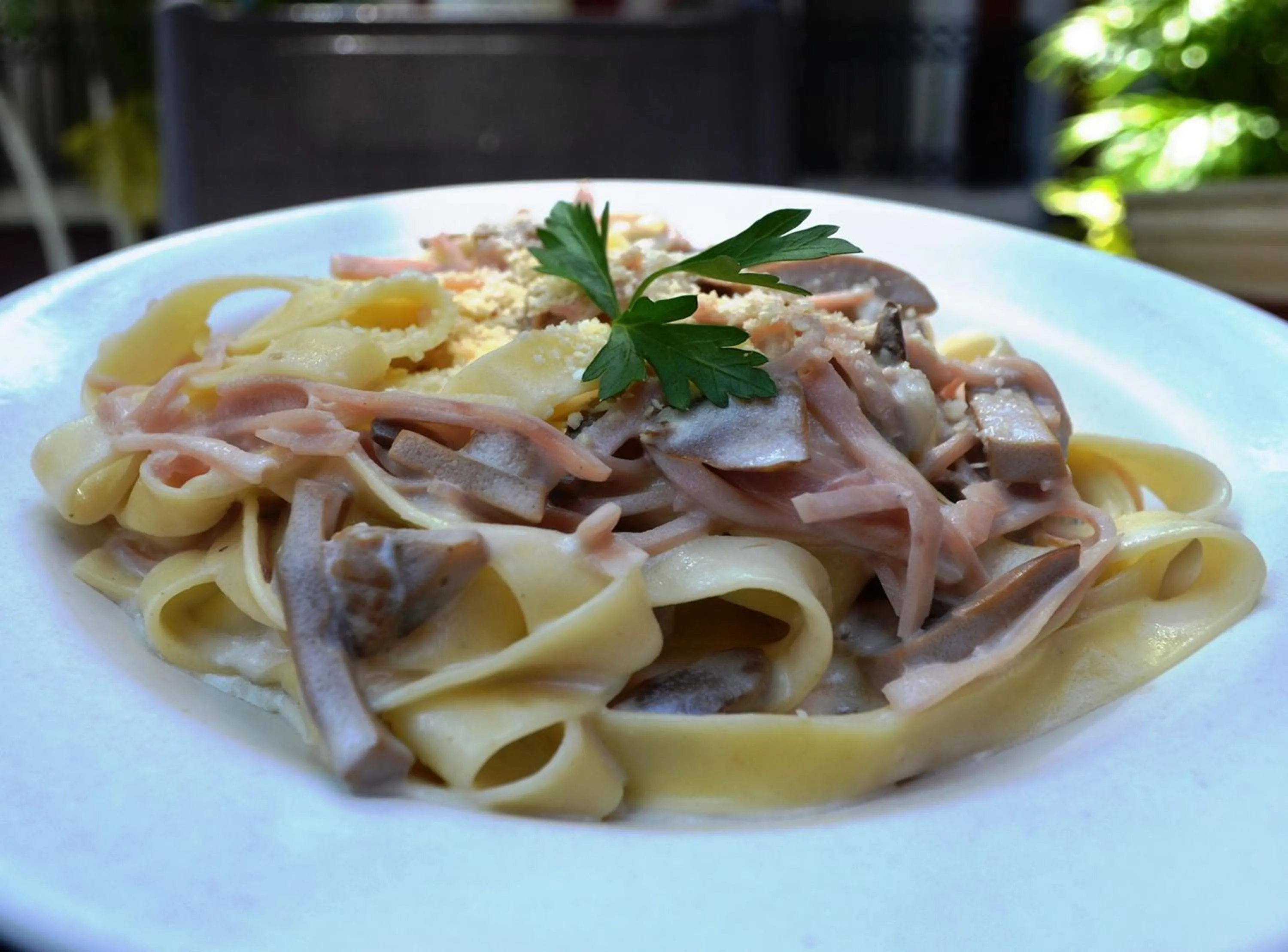 Lunch in Hotel Hacienda Real