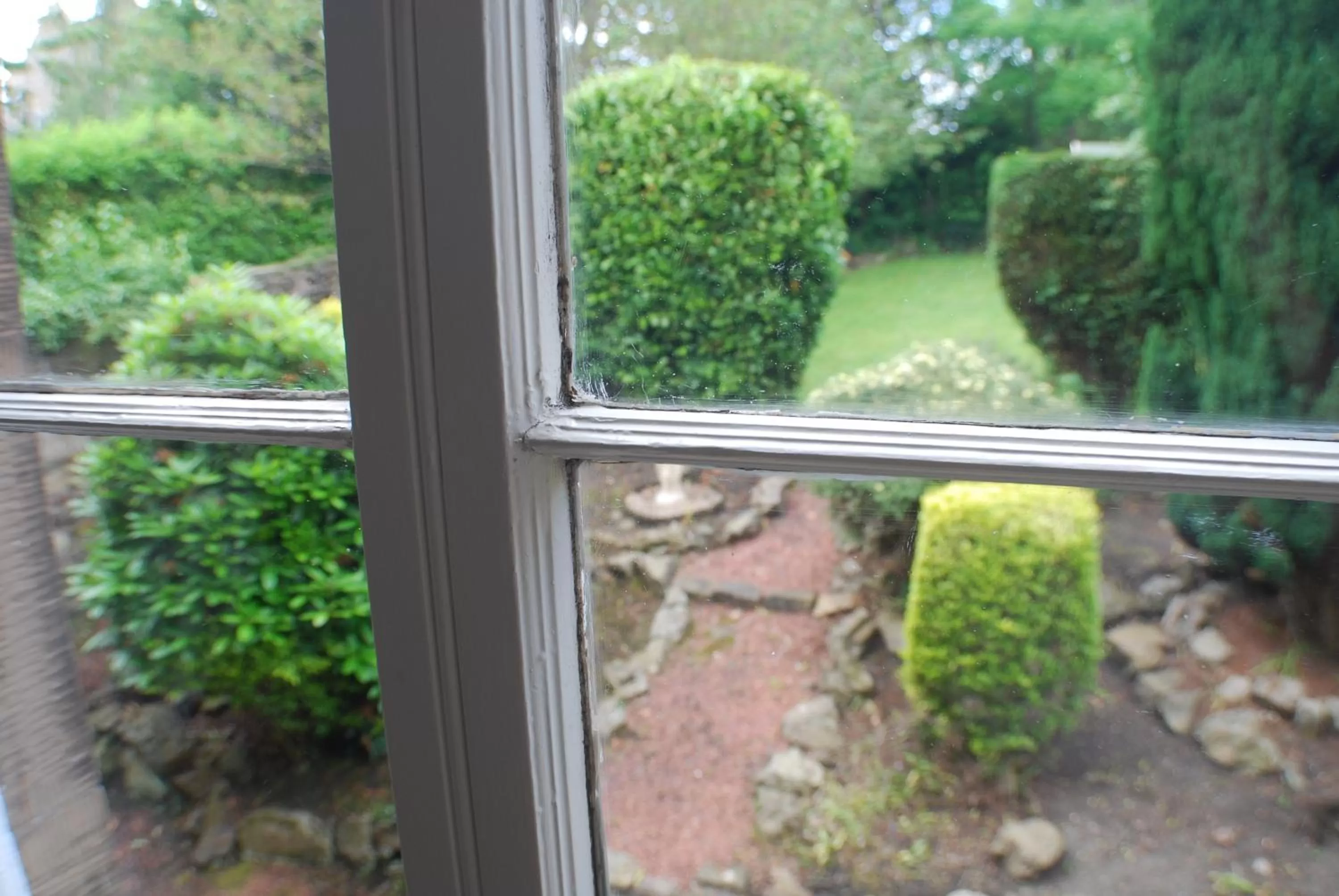 Garden in The Salisbury Hotel