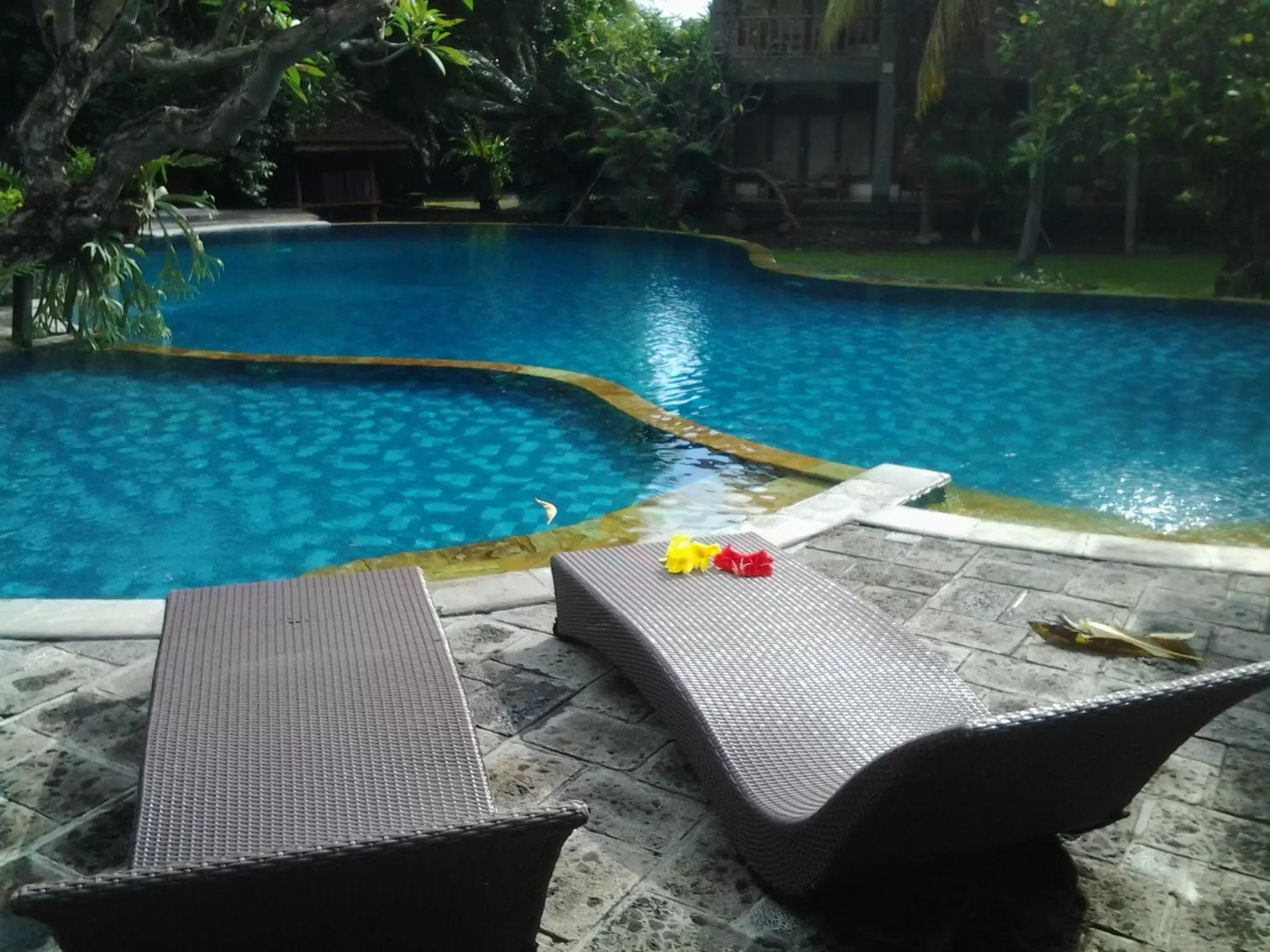 Swimming Pool in Nirwana Sea Side Cottages