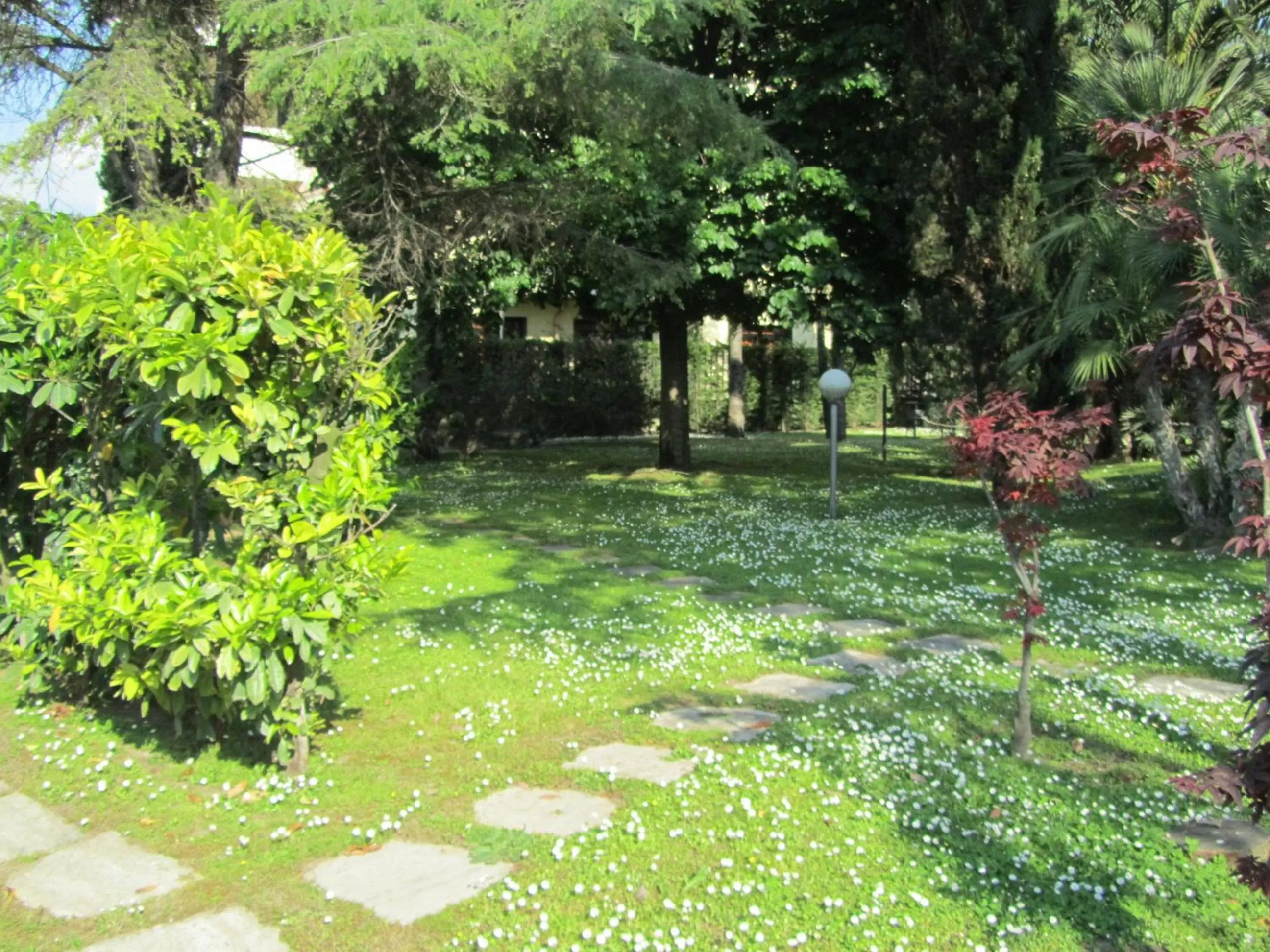 Day in Hotel Giovanna