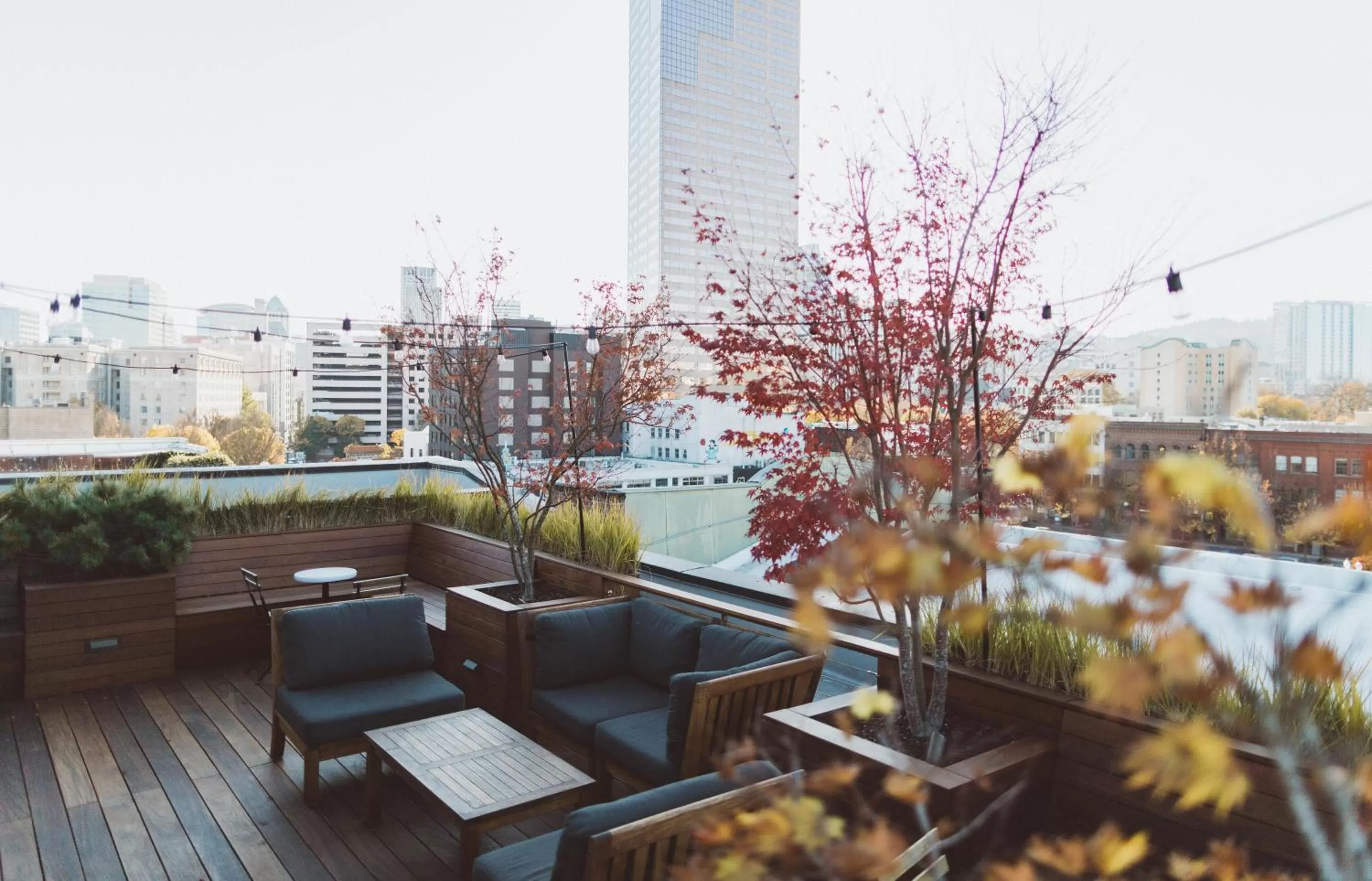 Balcony/Terrace in The Society Hotel